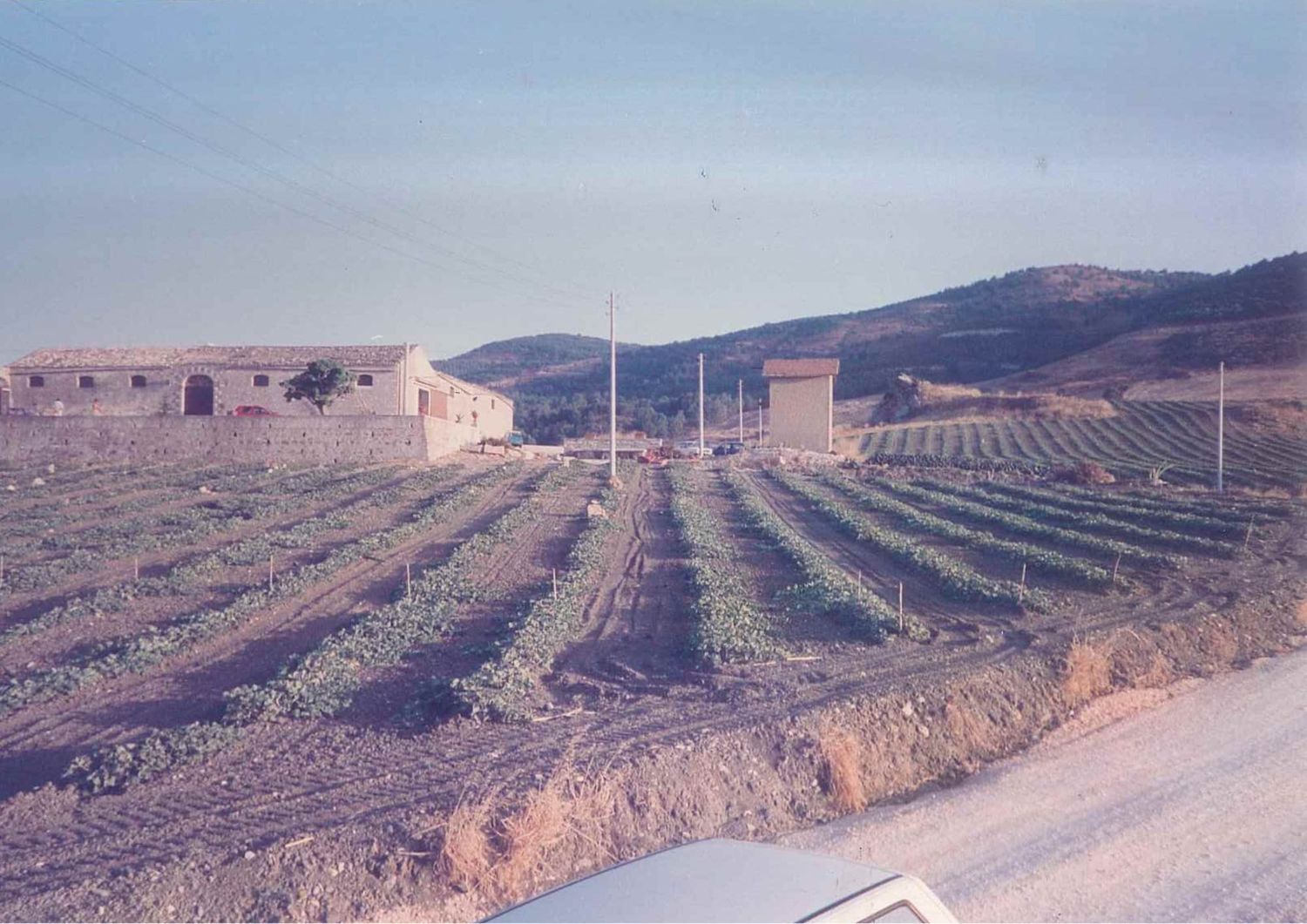 Vintage color photo of a stone farmhouse with rows of young crops in a rural landscape.