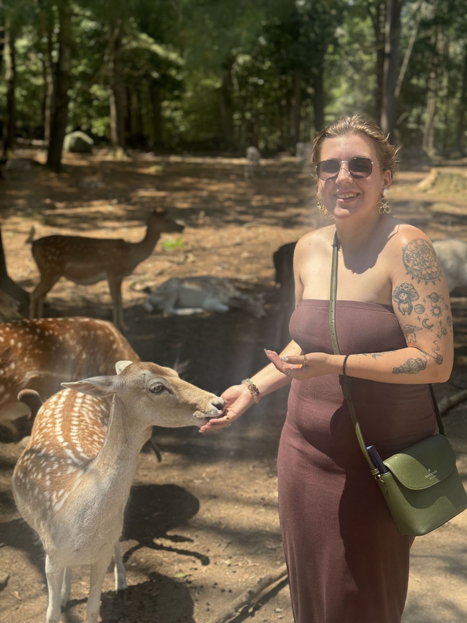 A deer approaches visitors in a wooded park setting on a sunny afternoon.