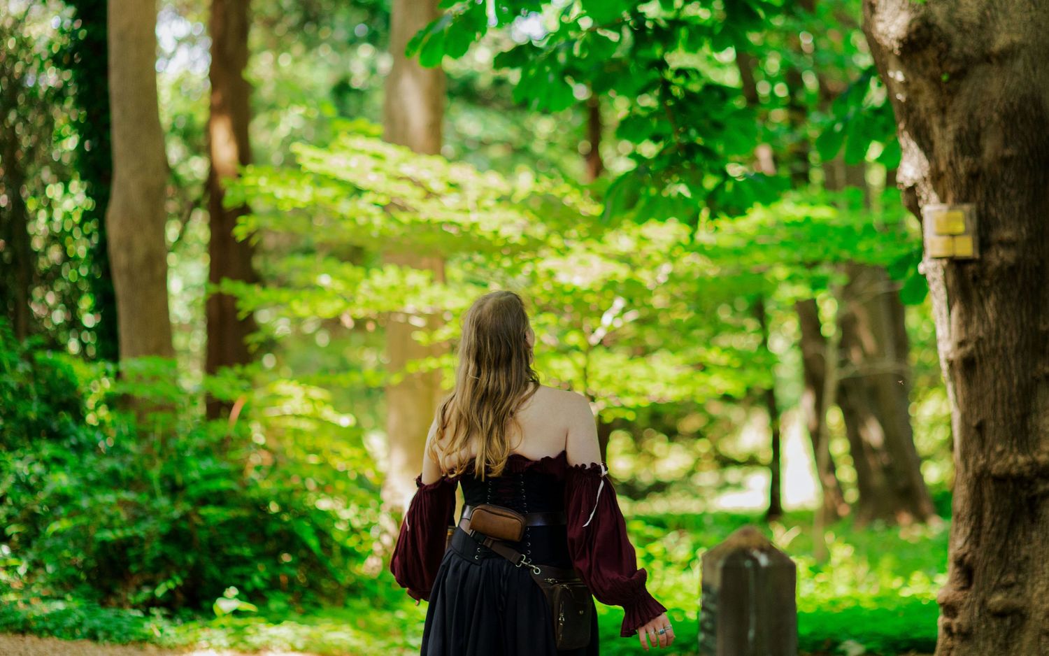 A person in a renaissance-style dress walks through a mystical forest setting.