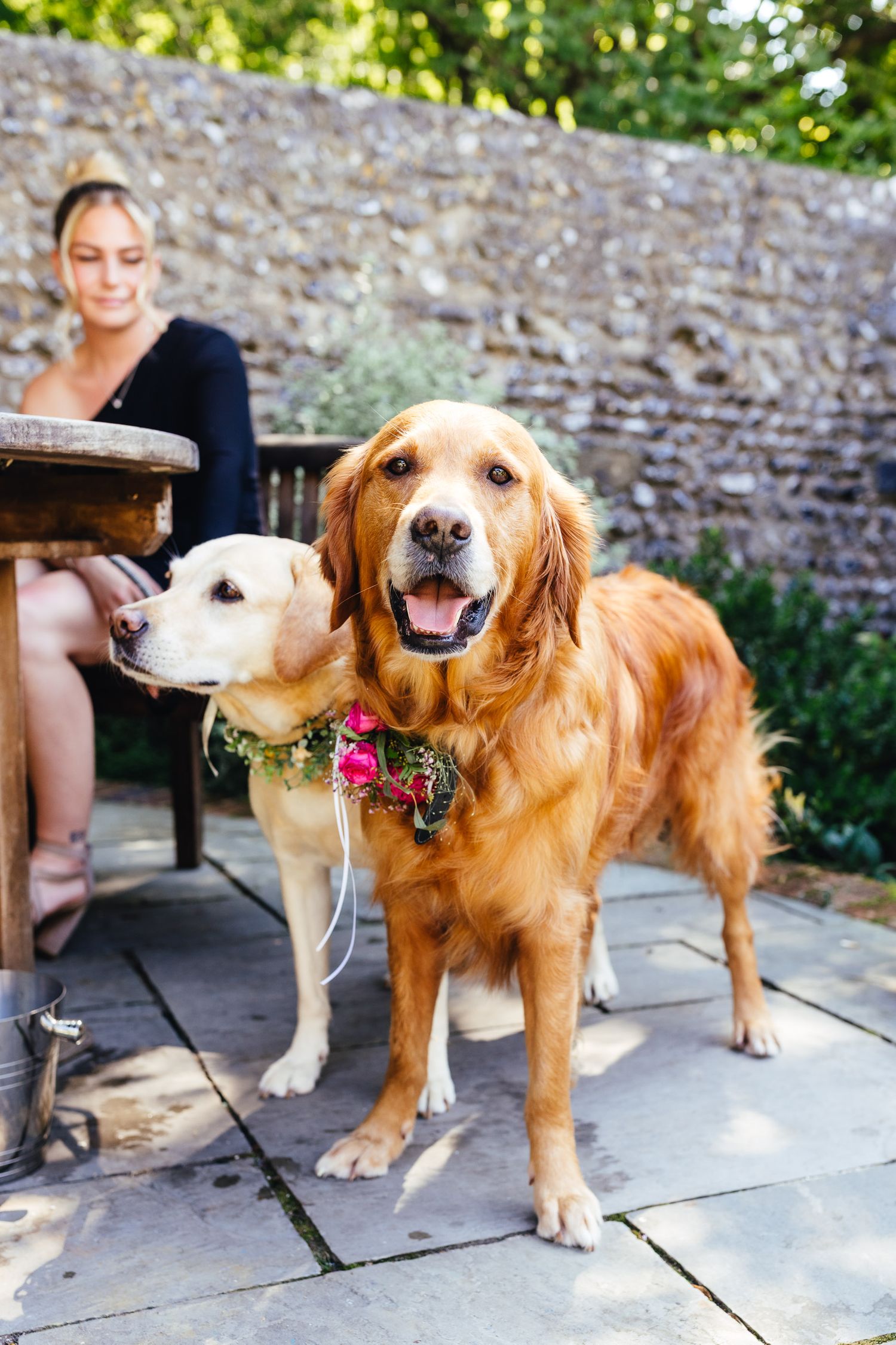 Dog at Cissbury Barns wedding in Worthing, relaxed documentary wedding photography