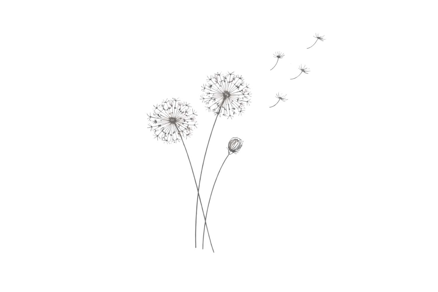 Decorative dandelion divider