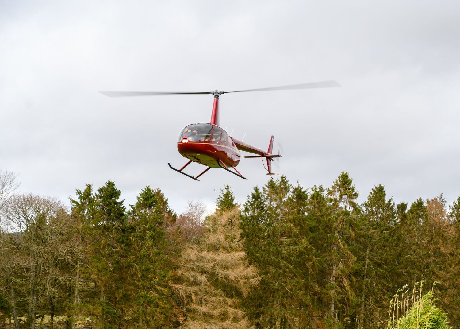 Red helicopter flying low over dense green forest trees against a cloudy sky.