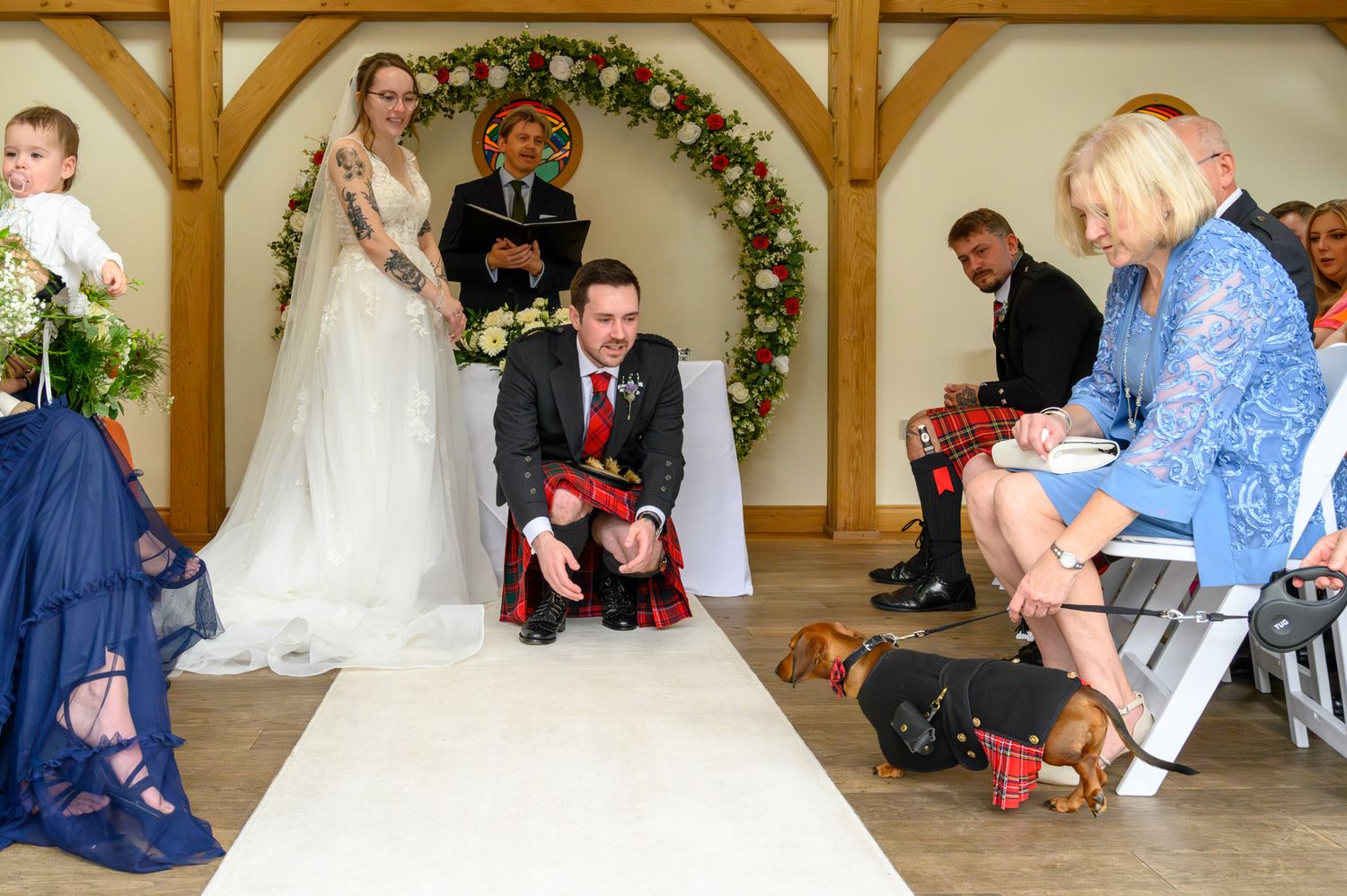 Freddie the Daschund decides whether he wants his people to marry - doggy ring bearer. Glasgow Wedding Photographer, No 10 Hotel.