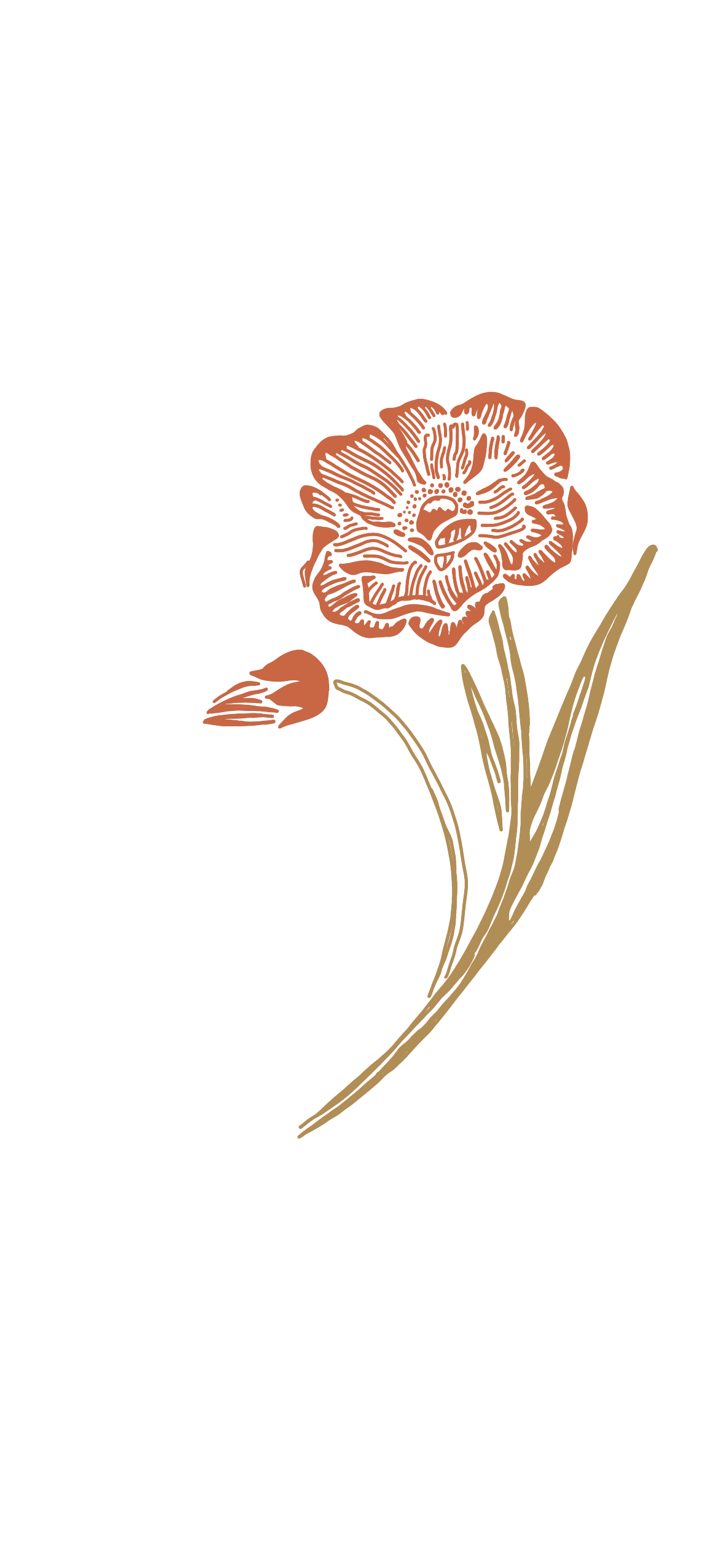 Delicate orange floral illustrations with thin green stems in a minimalist artistic style.