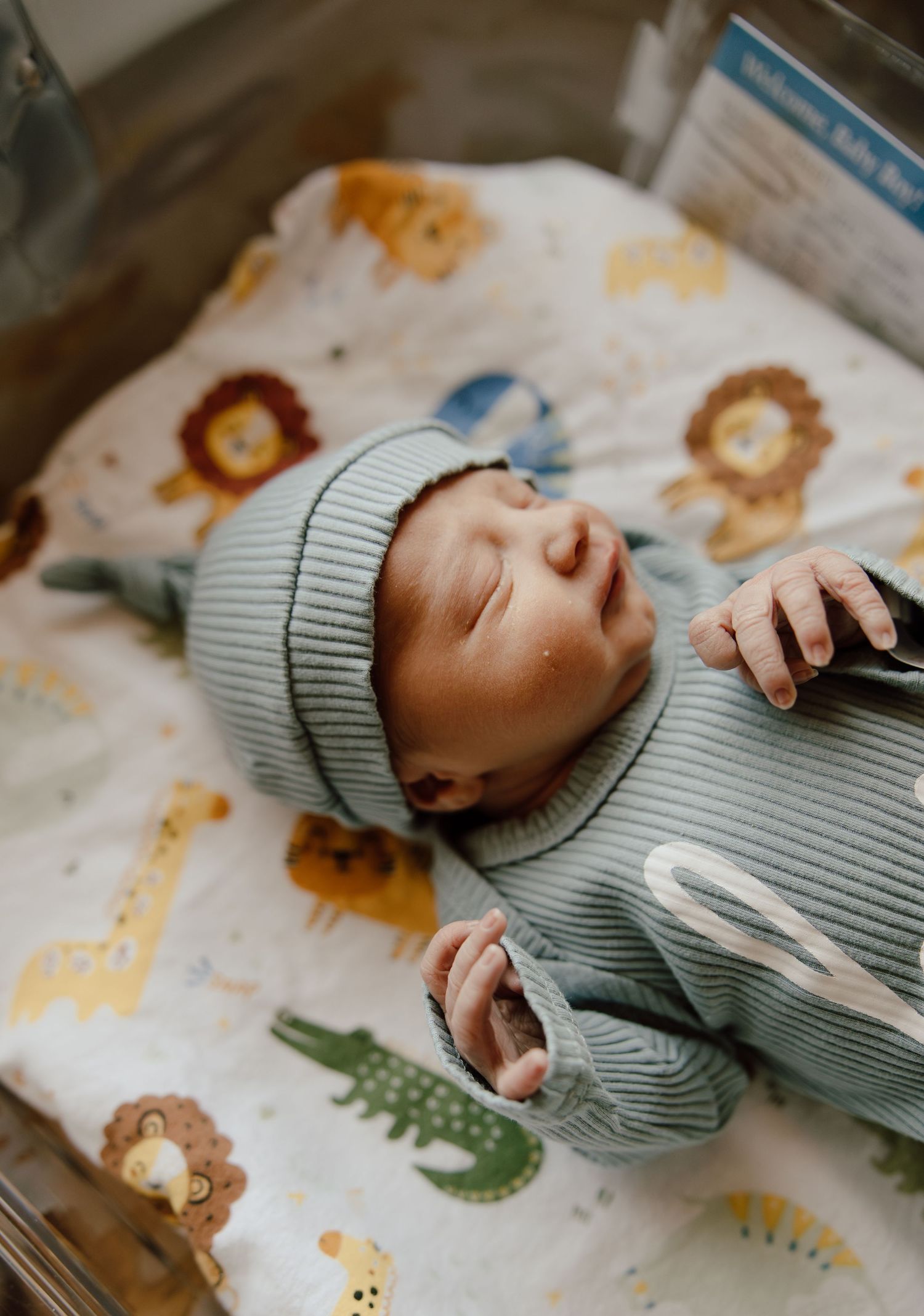 A sleeping newborn wearing a blue-gray knit beanie and matching outfit rests on a blanket with safari animal print pattern.