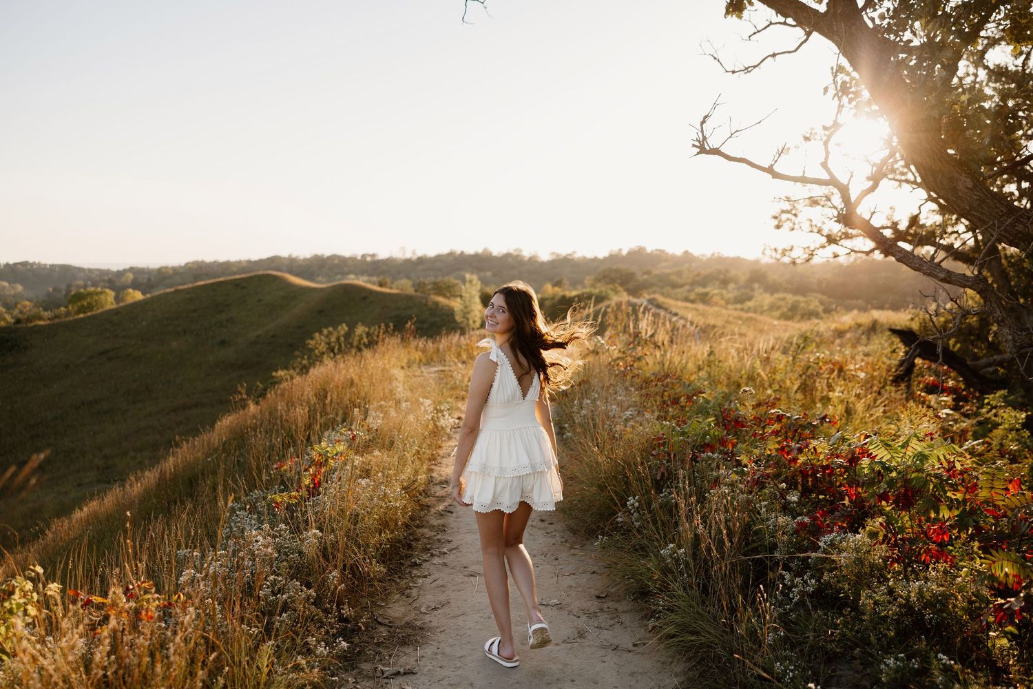Scenic sunset path through golden hills with wildflowers.