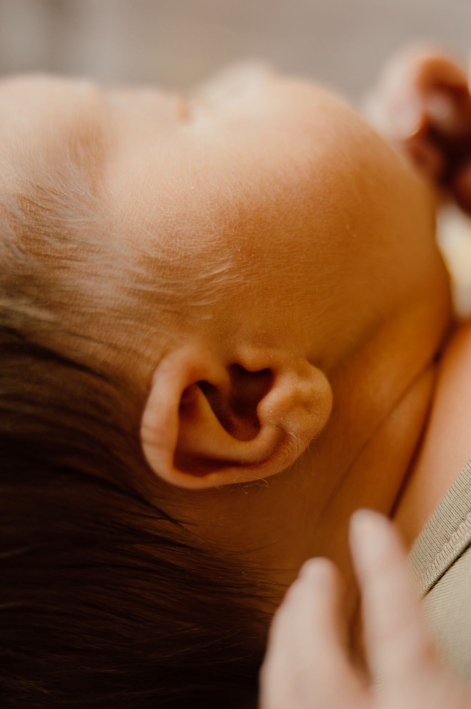 Close-up macro shot of a newborn baby's ear with soft warm lighting.