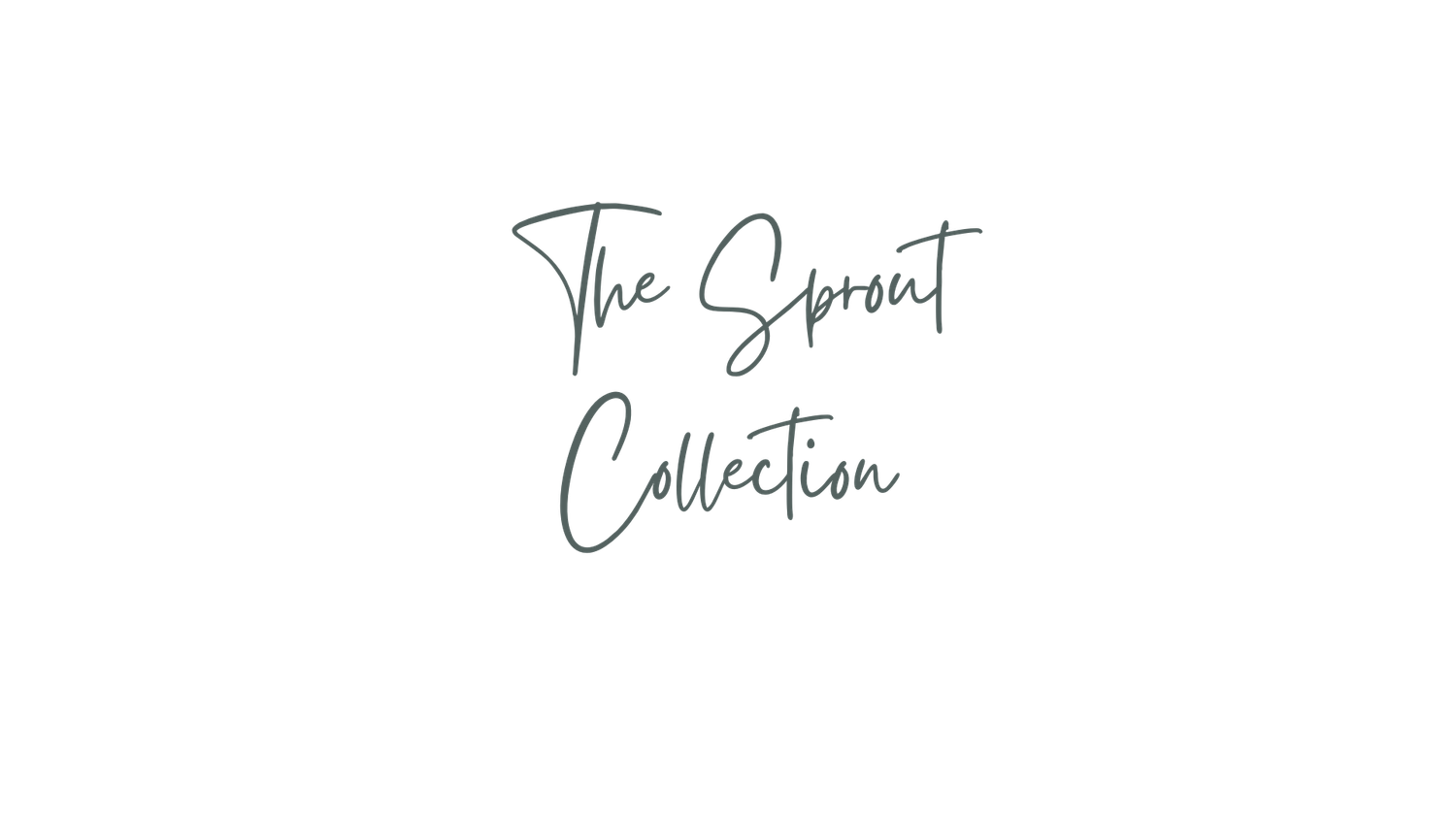 Elegant script text displaying 'The Spring Collection' in a minimalist design.