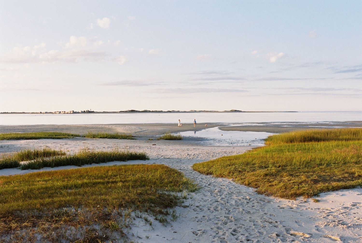 Panoramic view of a coastal marsh landscape with sand and water during sunset.