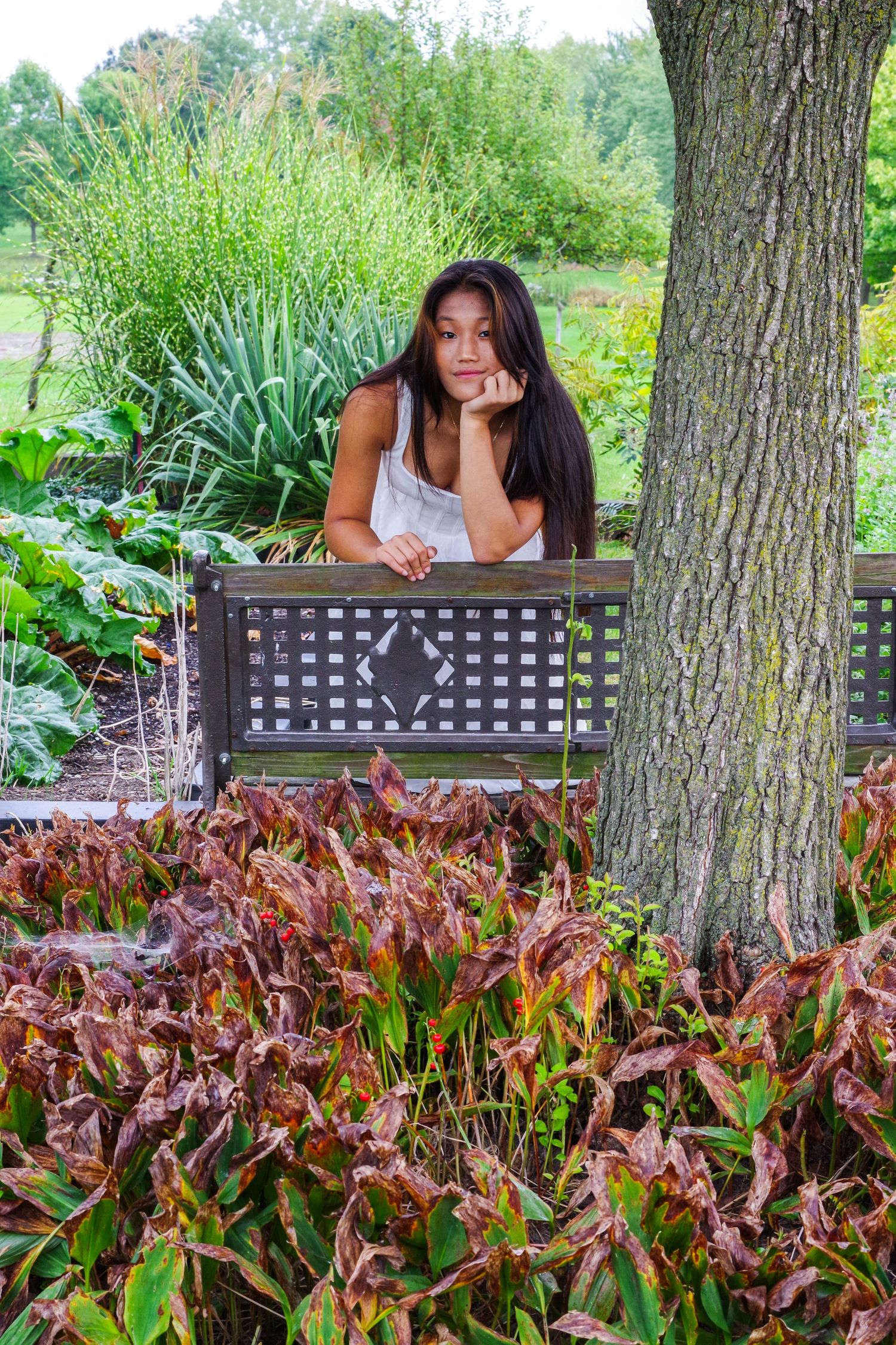 A serene garden scene with ornamental grasses and a decorative metal bench near a large tree trunk.