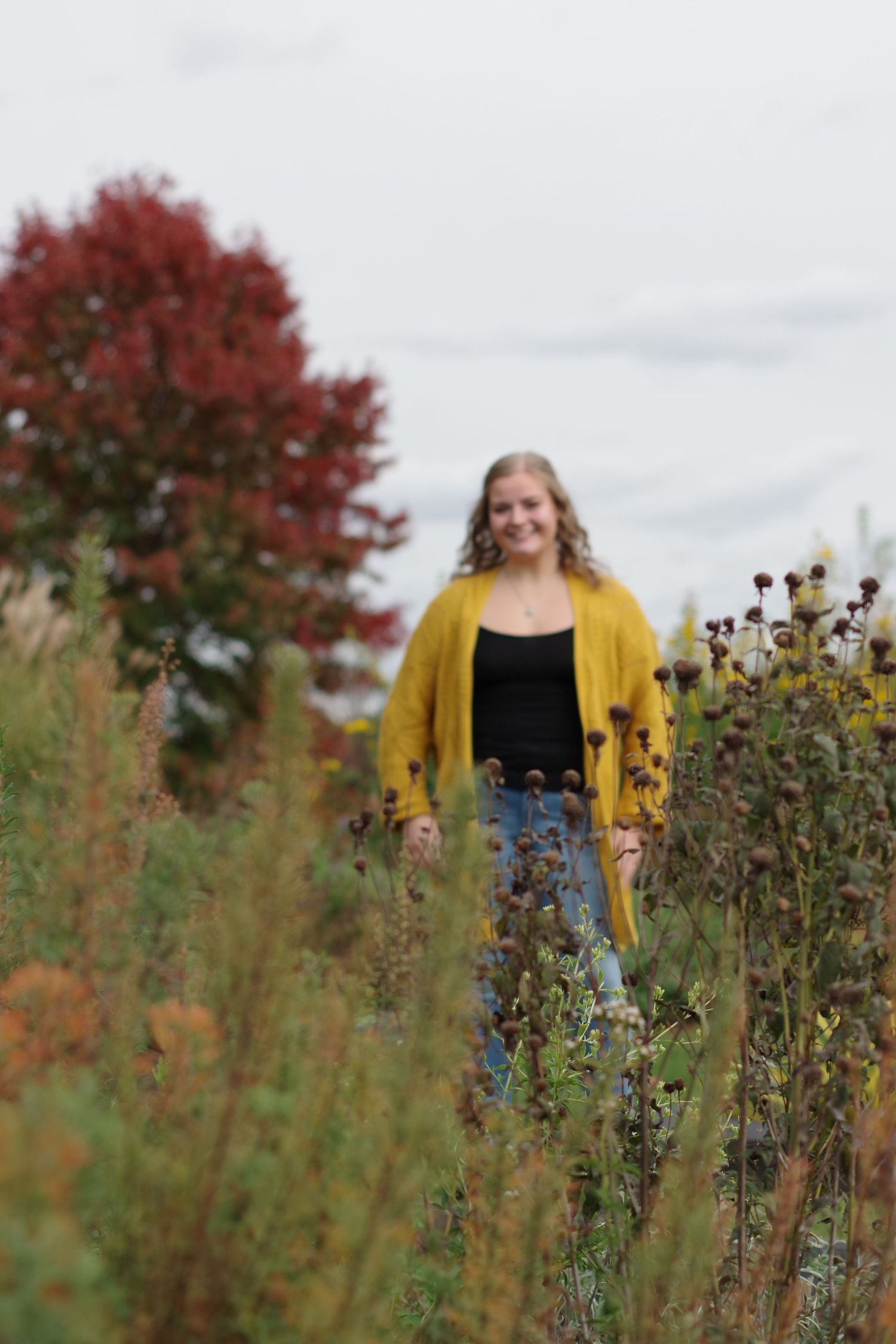 Person in yellow cardigan standing among wildflowers with red maple tree in background.