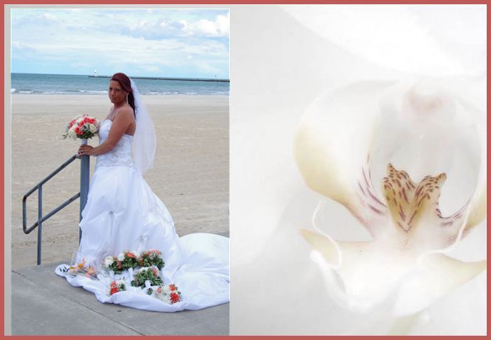Split image of beach wedding scene and close-up white lily flower.