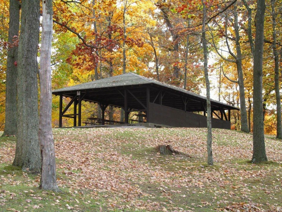 A simple black picnic shelter stands among fall-colored trees with leaves covering the ground.