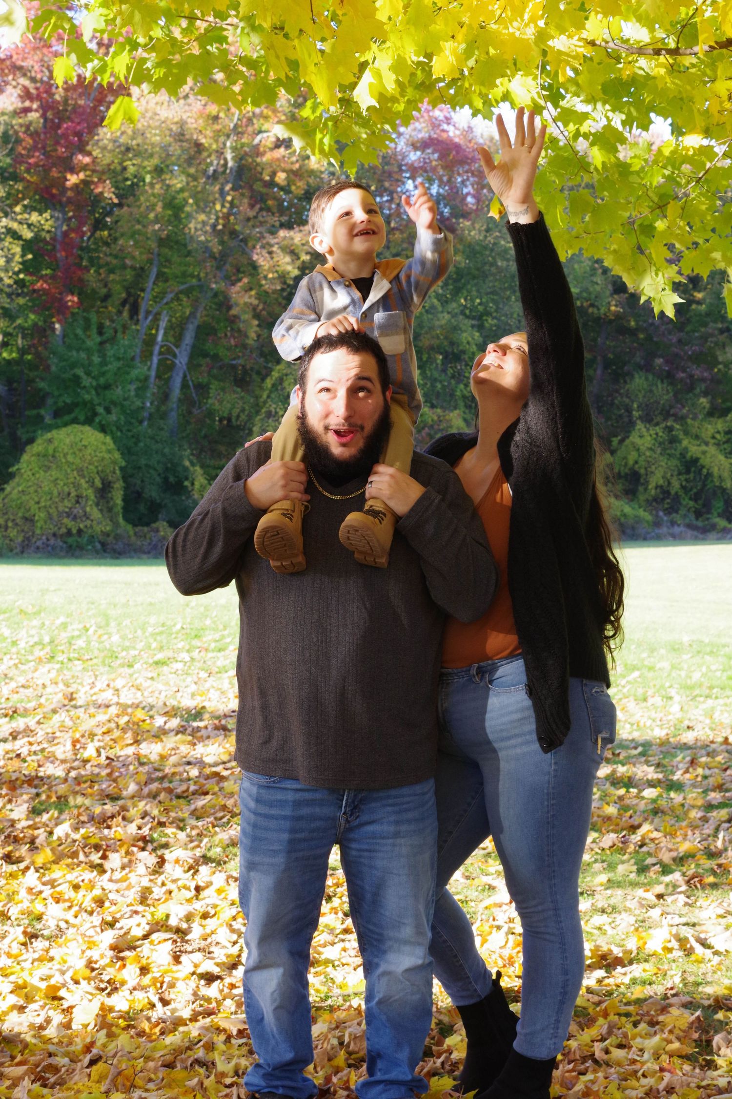Family playfully reaches for yellow autumn leaves while posing in park during fall season.