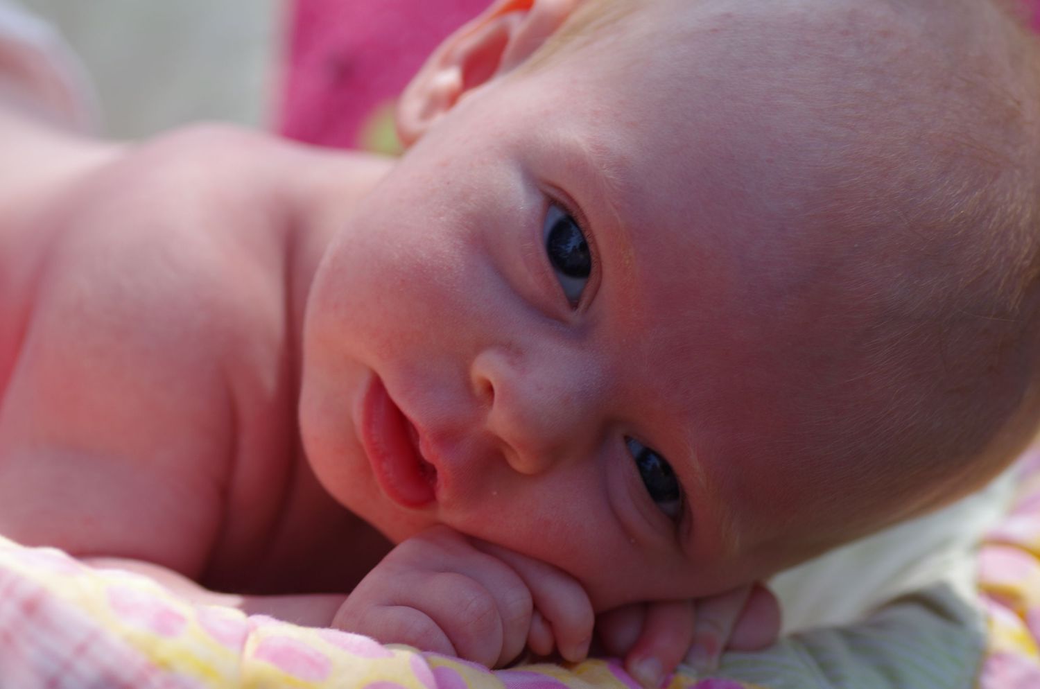 Close up artistic portraits of newborn baby against pink background.