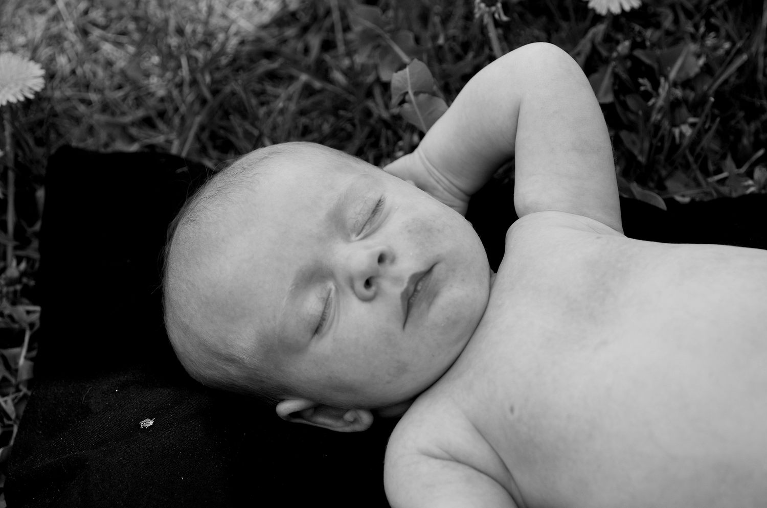 Black and white artistic newborn photography series on dark background.