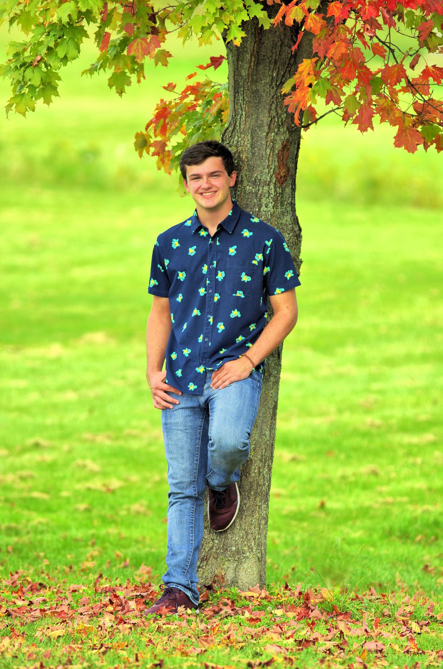 Person in blue patterned shirt sits against tree trunk with autumn leaves falling on grass.