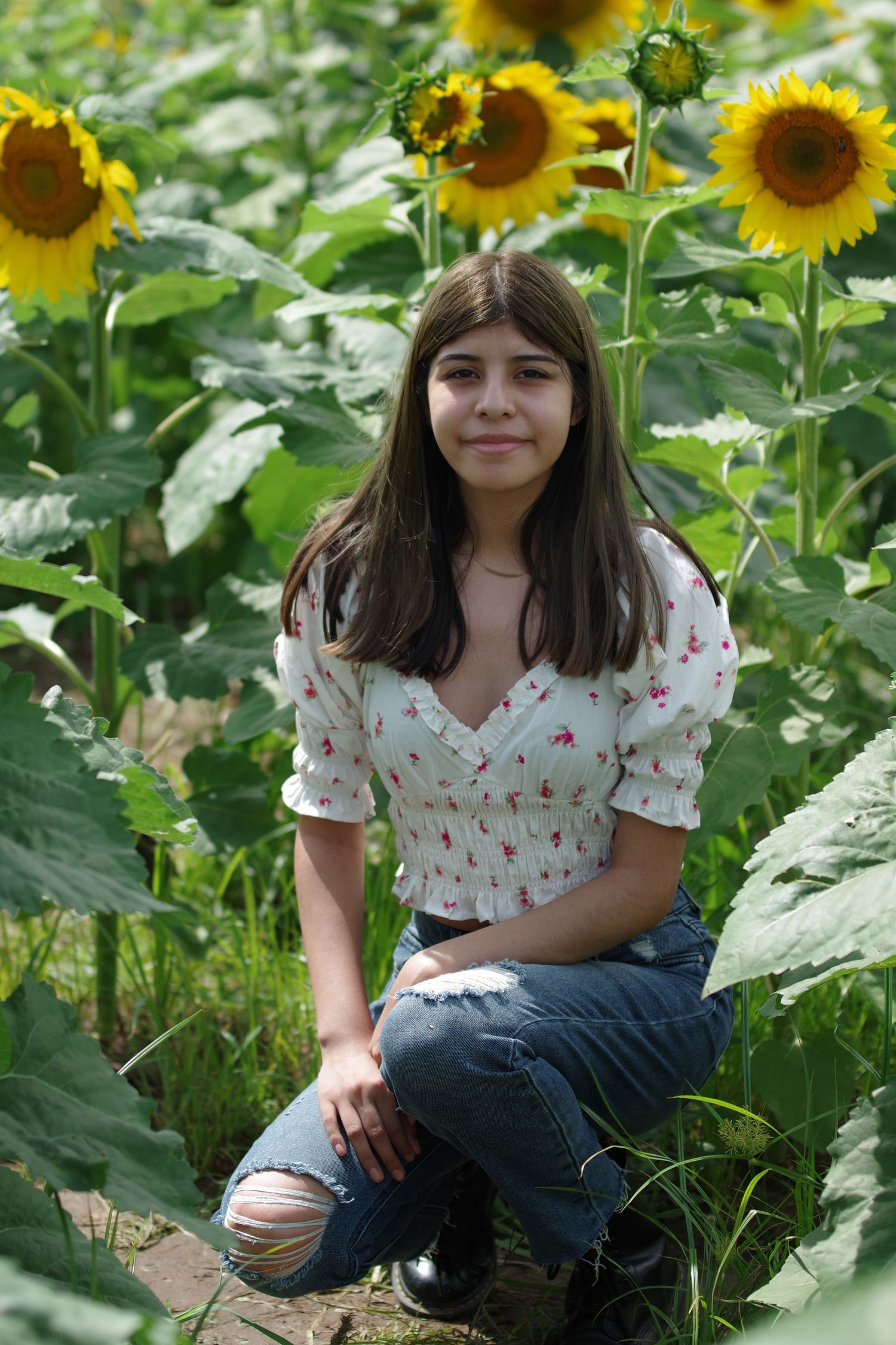 A person kneels among tall sunflower plants wearing a white floral top and ripped jeans.