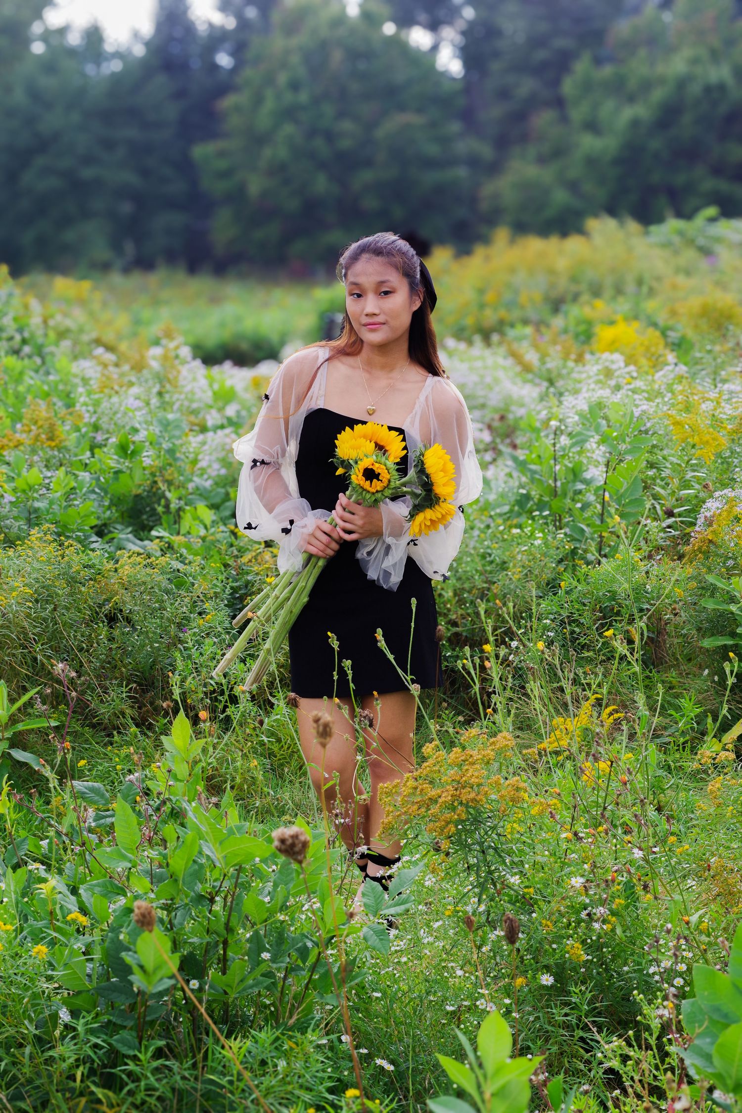 A tranquil wildflower meadow with yellow blooms and lush green vegetation.