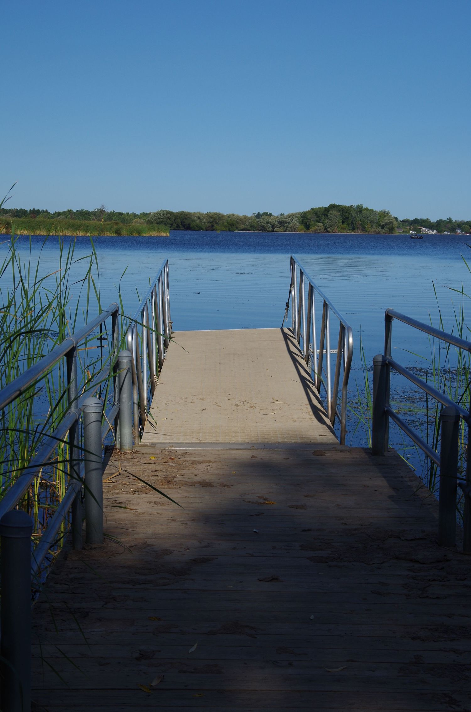 A wooden dock extends over calm blue lake waters with reeds and trees in the background.