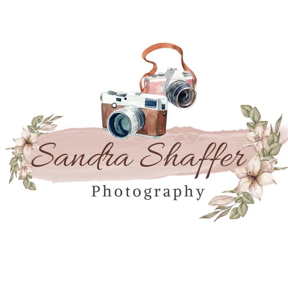Vintage style photography logo design with watercolor cameras and floral elements in pink tones.