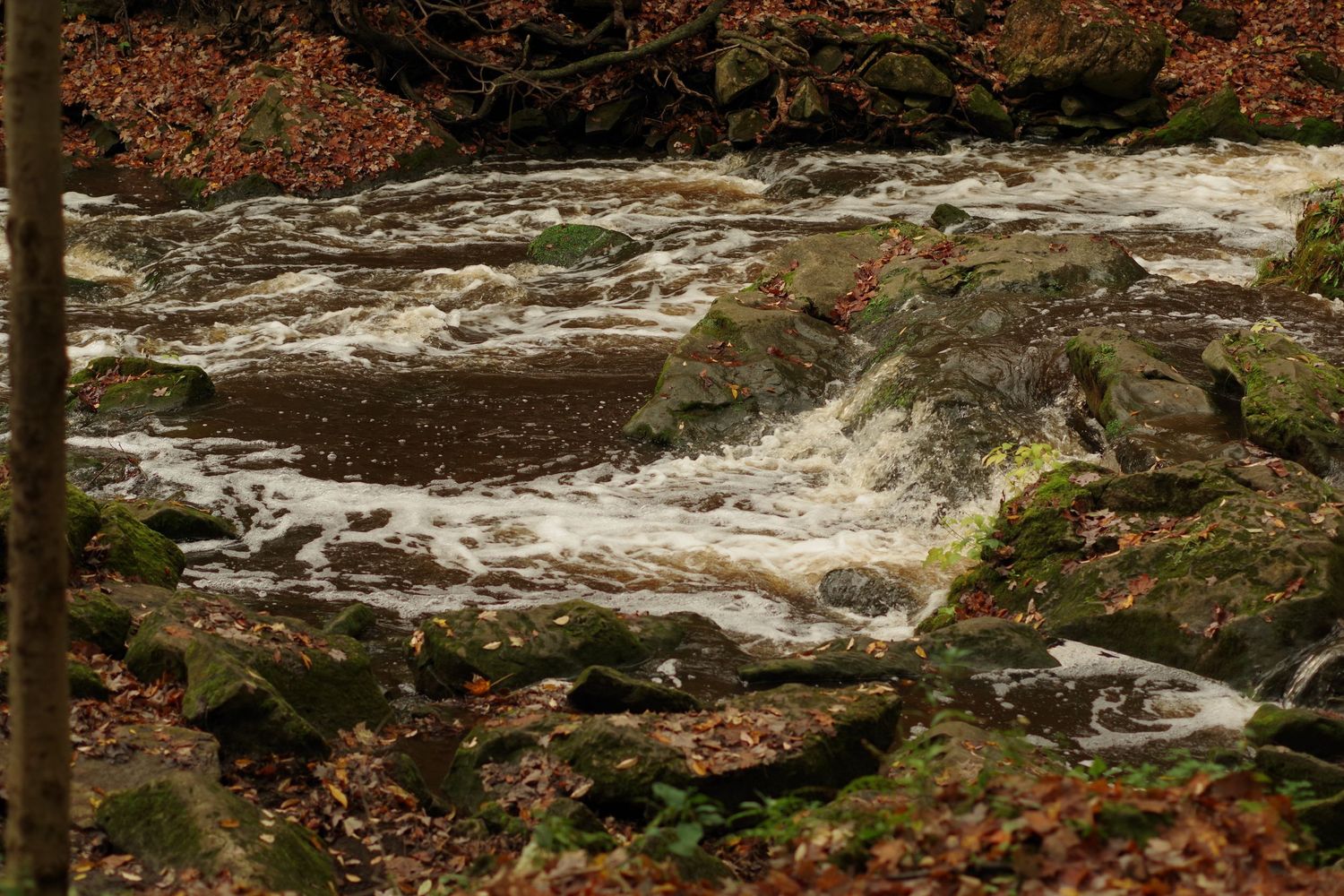 Rushing water cascading over rocks in a stream surrounded by autumn foliage.