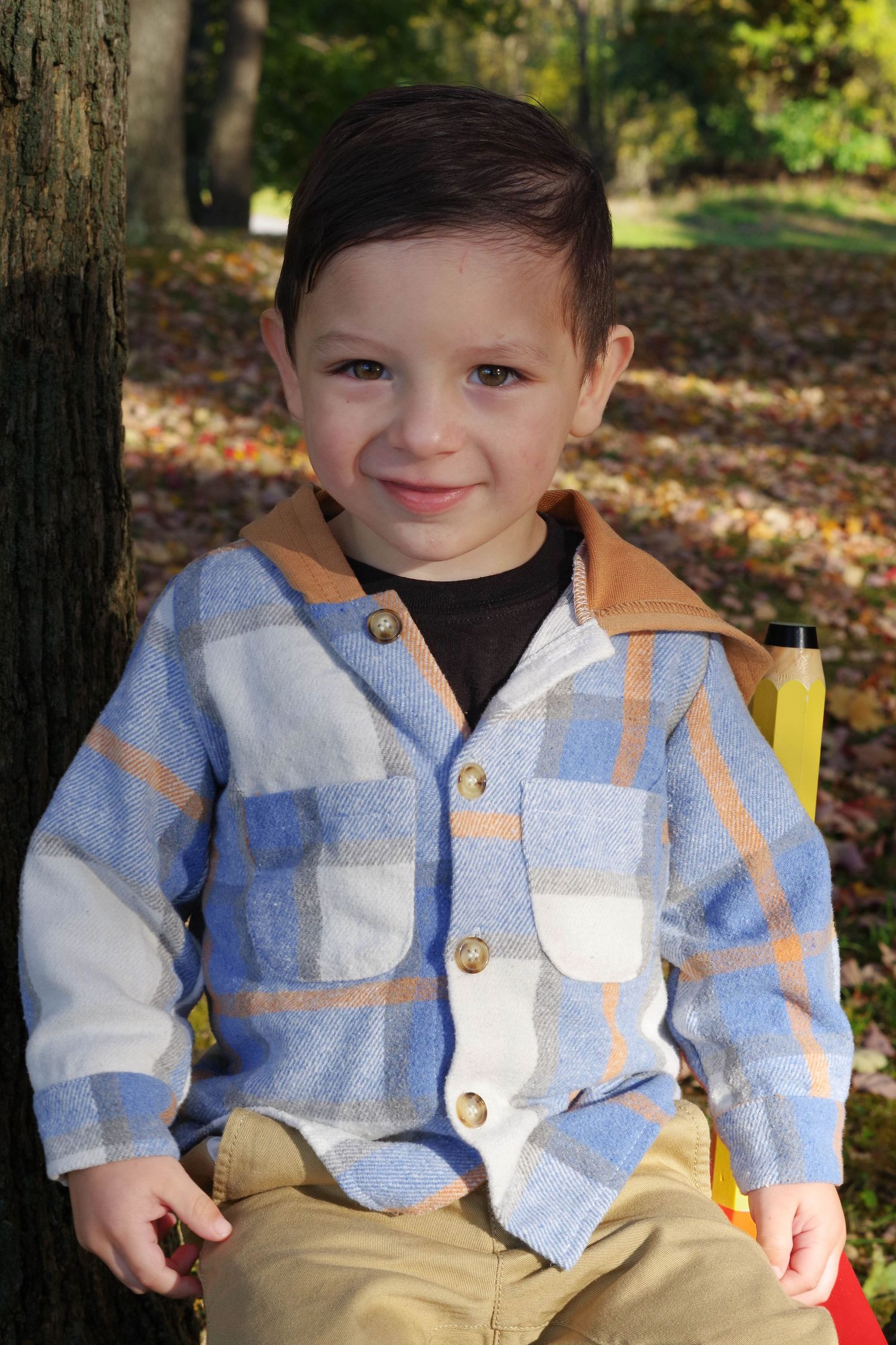 Portrait of young child wearing plaid button-up shirt in autumn outdoor setting.
