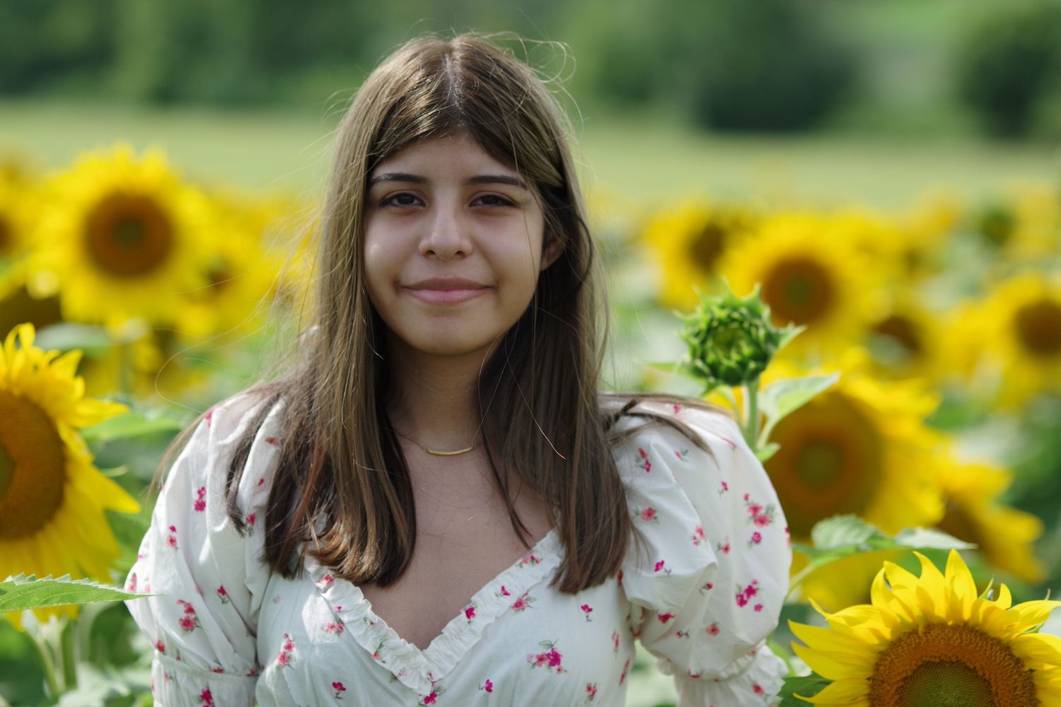 A person in a white floral top stands among blooming sunflowers in a field.