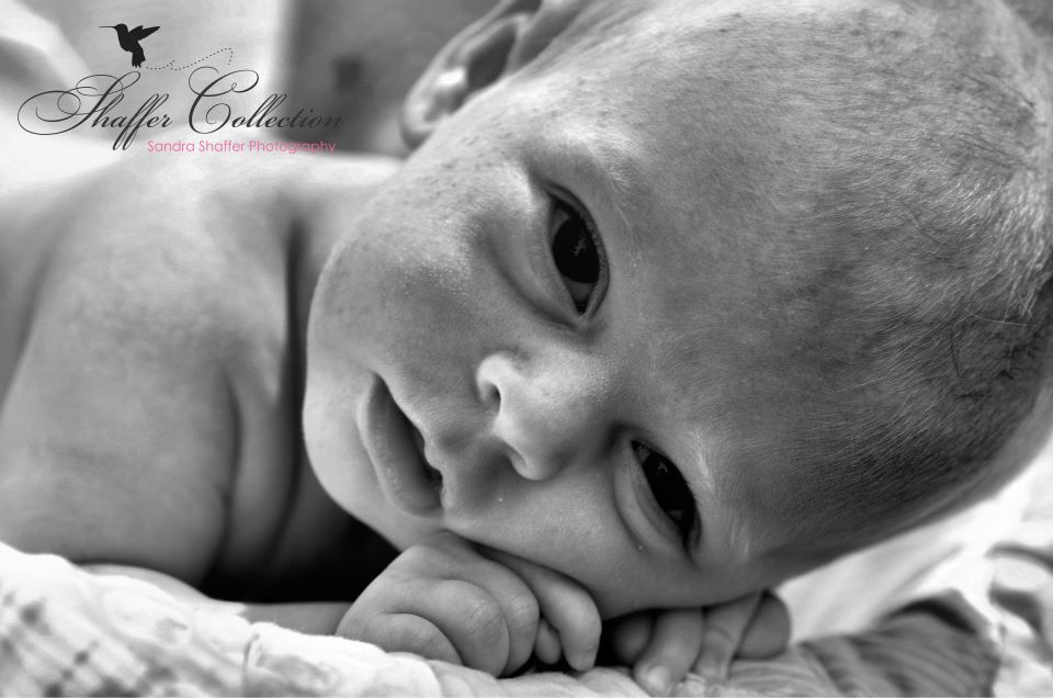 Close up black and white artistic portraits of sleeping newborn.