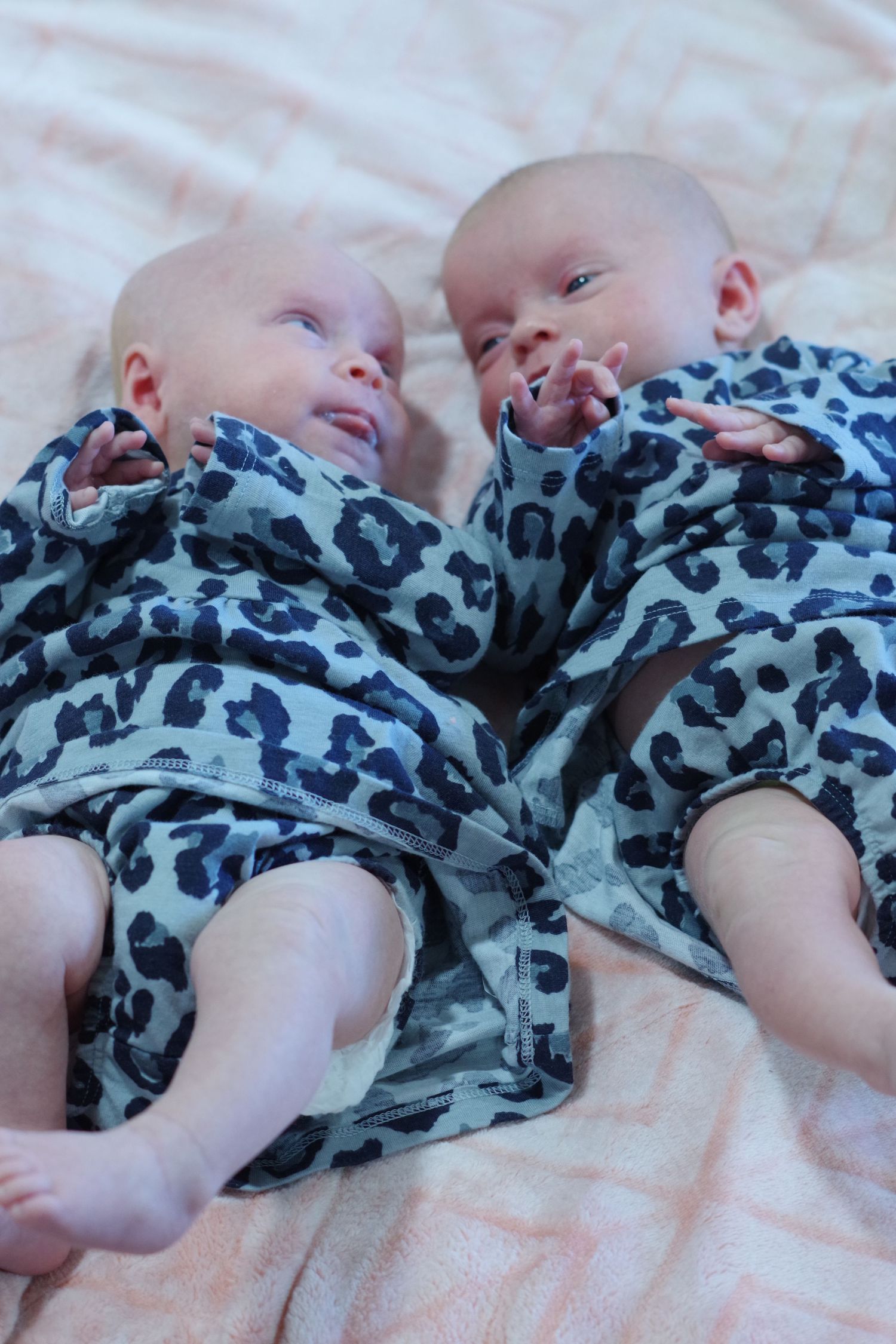 Two newborn twins in matching blue leopard print outfits lying side by side on a pink blanket.