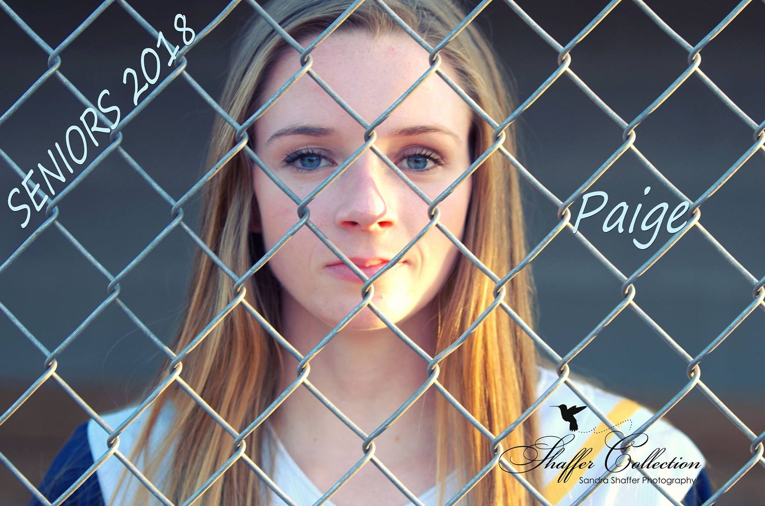 Artistic portrait through chain-link fence with text overlay.