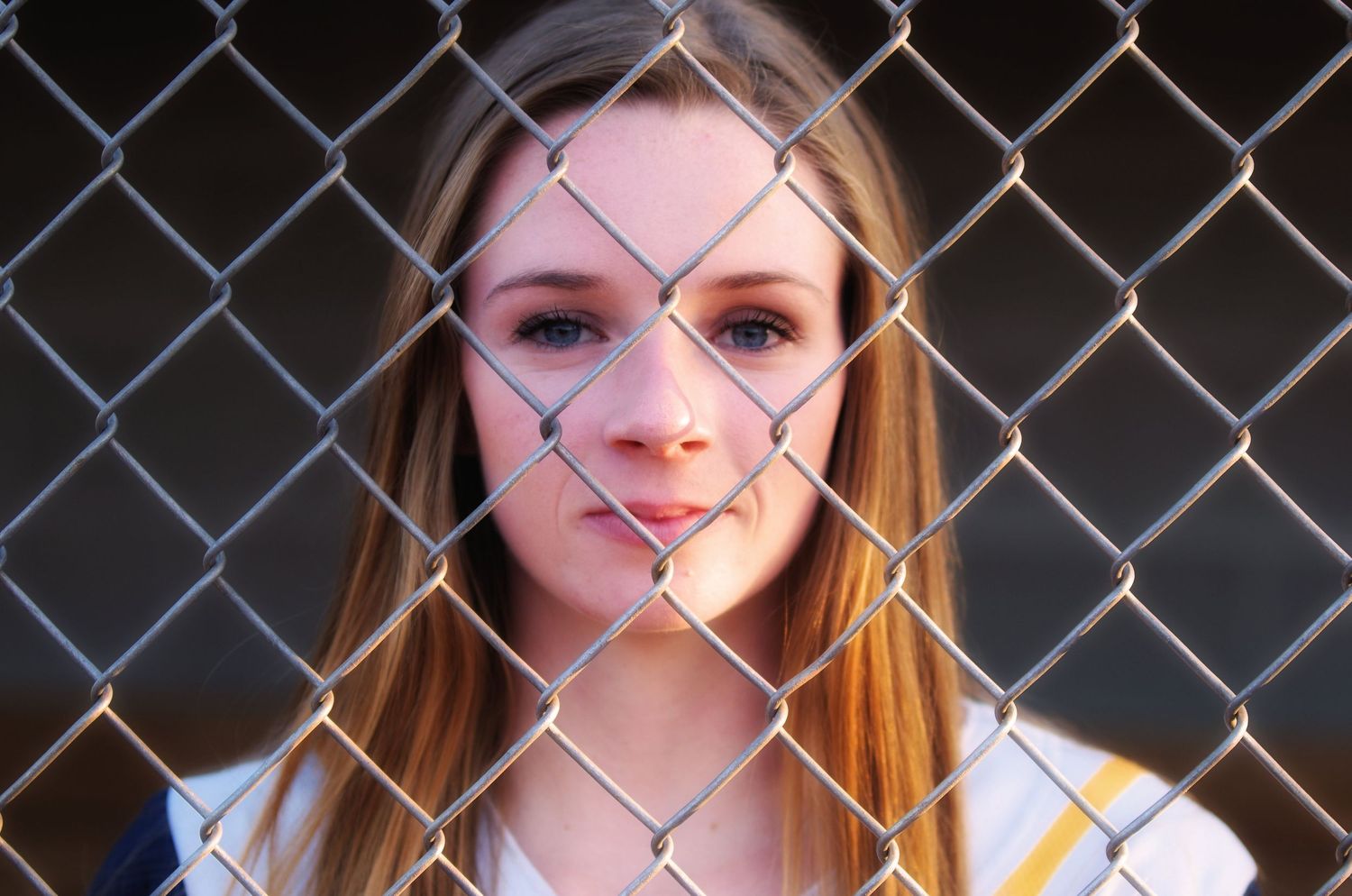 Artistic composition using chain link fence as framing element.