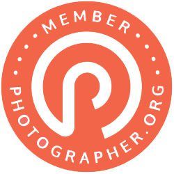 Collection of round coral-colored membership and guarantee badge seal design elements against white background.