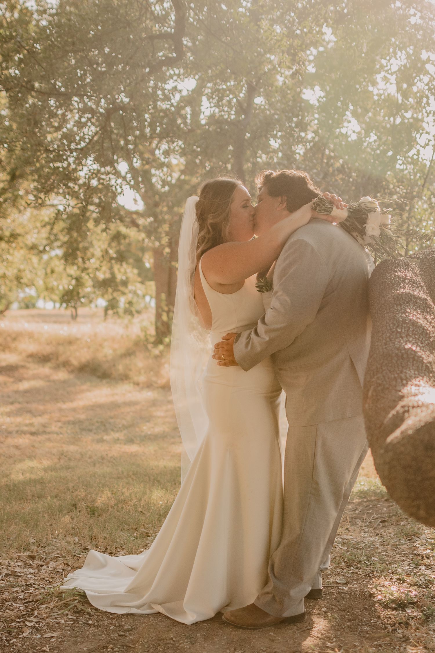Golden sunlit photograph of newlyweds sitting together under a tree canopy.