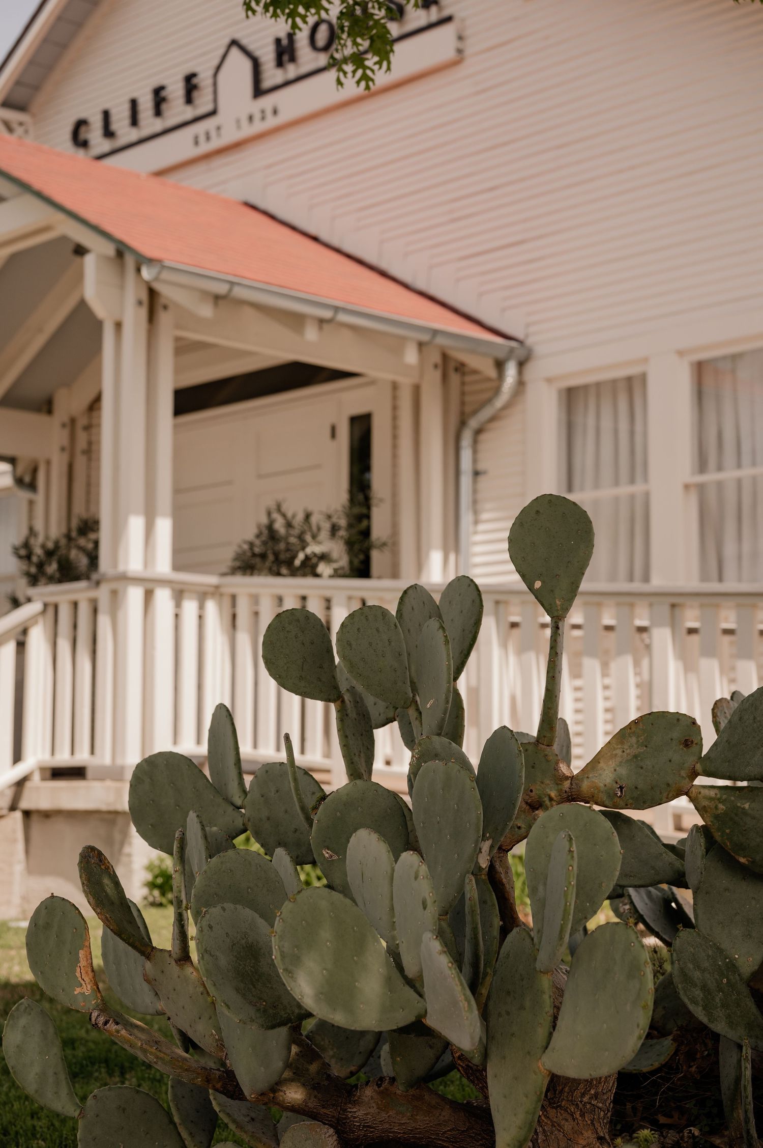 Large prickly pear cactus growing in front of a white vintage wedding venue with a wraparound porch.