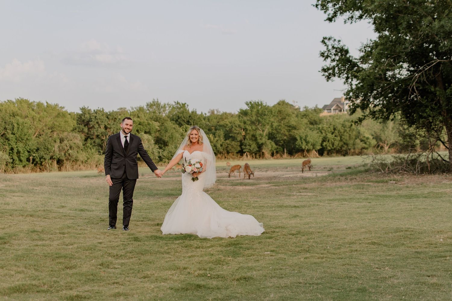 Bride and groom walk together through a green field in front of deer for wedding portraits in Fort Worth, Texas.