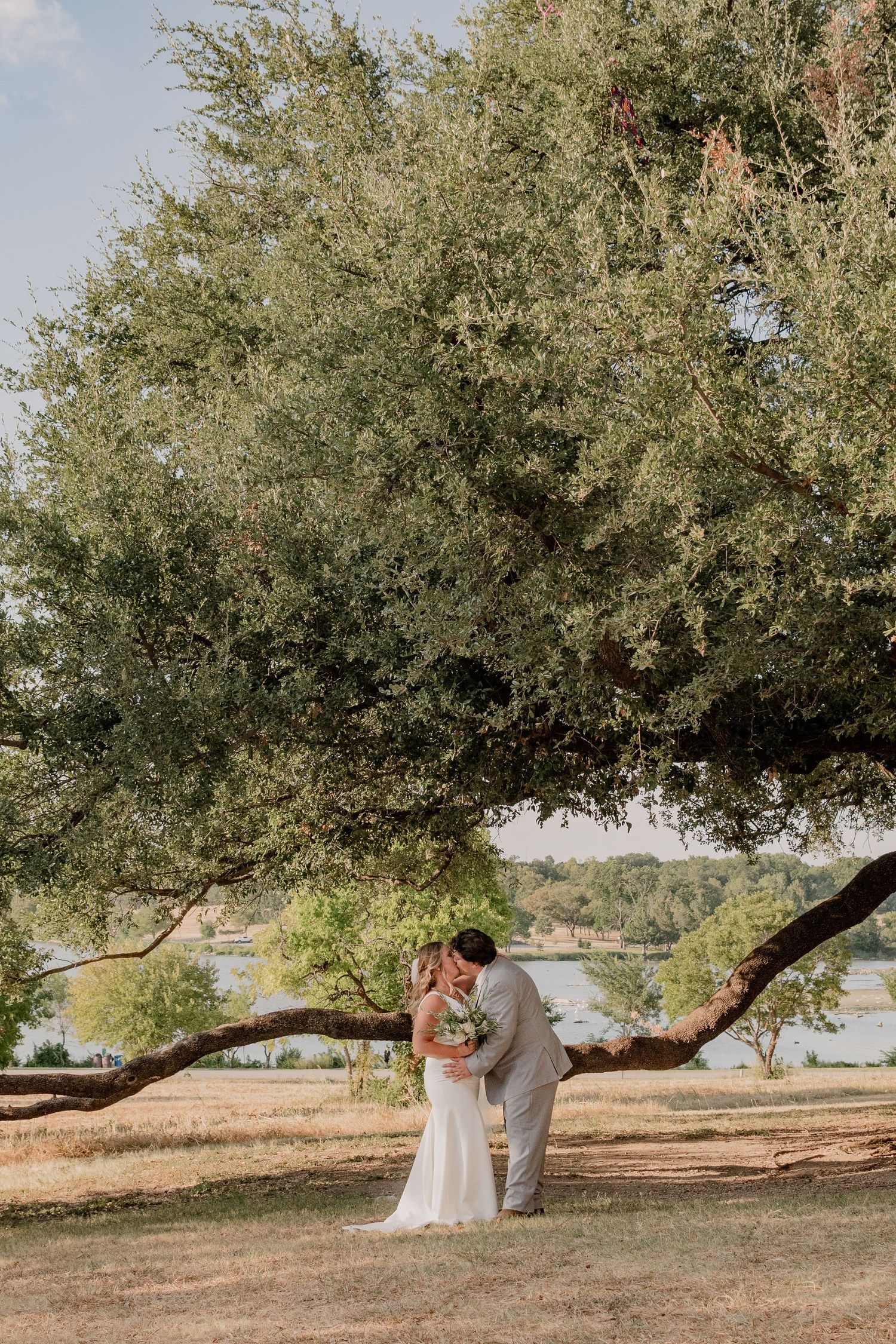 Sweeping landscape photo of a couple sharing their wedding moment beneath a majestic oak tree.