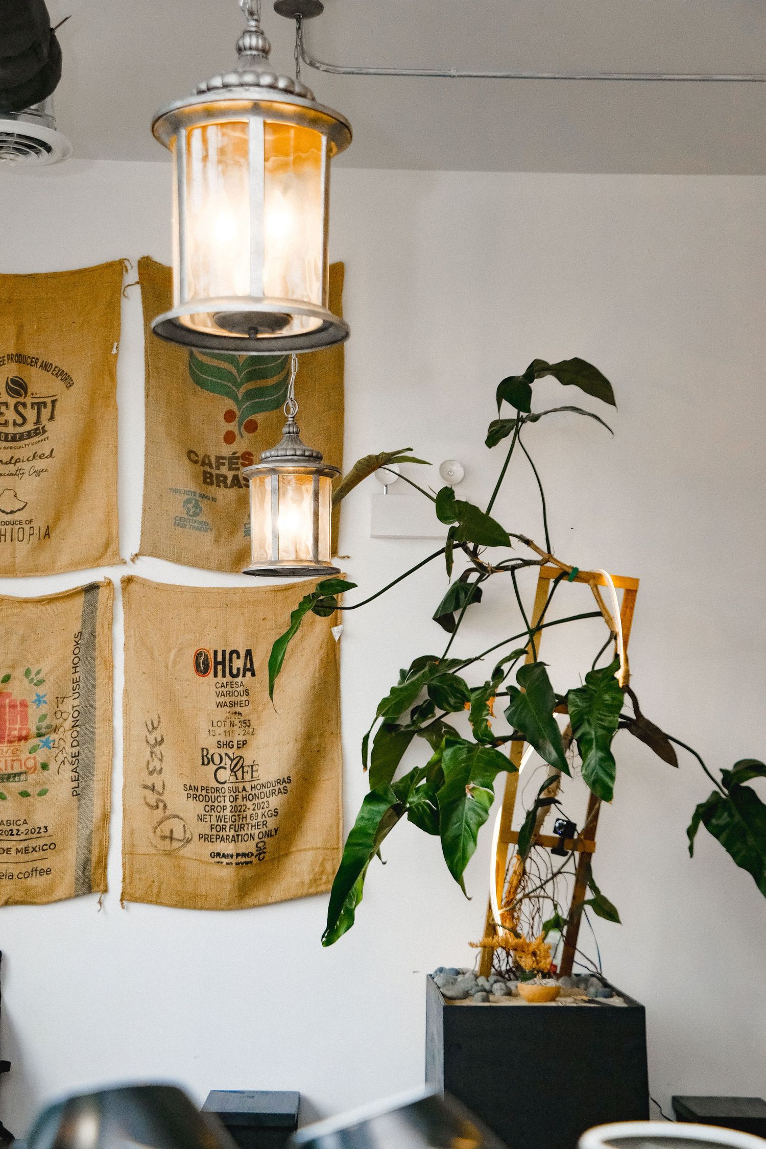 Pendant lights with coffee bag shades illuminate a modern interior space with green potted plants against white walls.