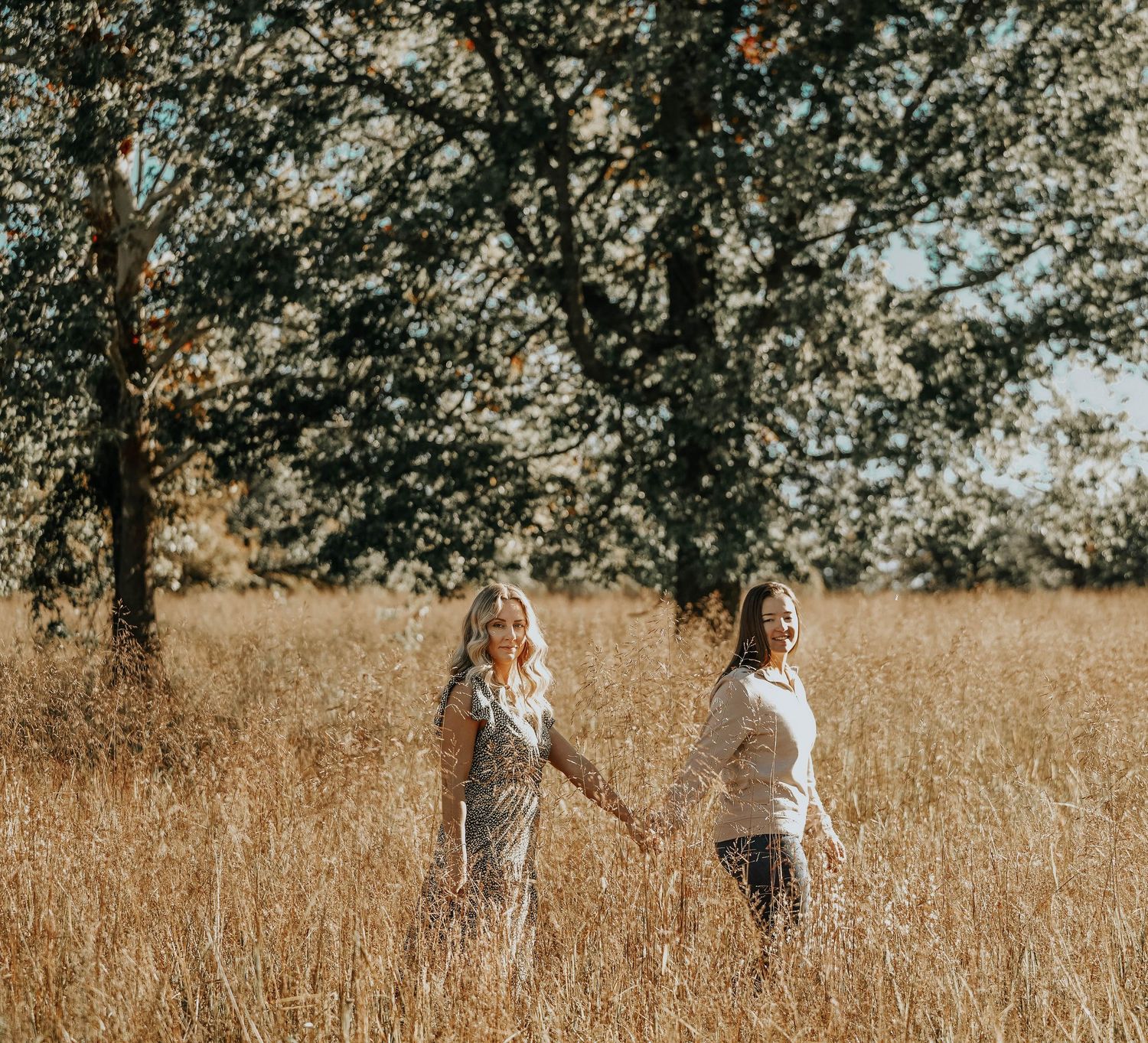 Couples walking through a sun-drenched field with trees in autumn colors.