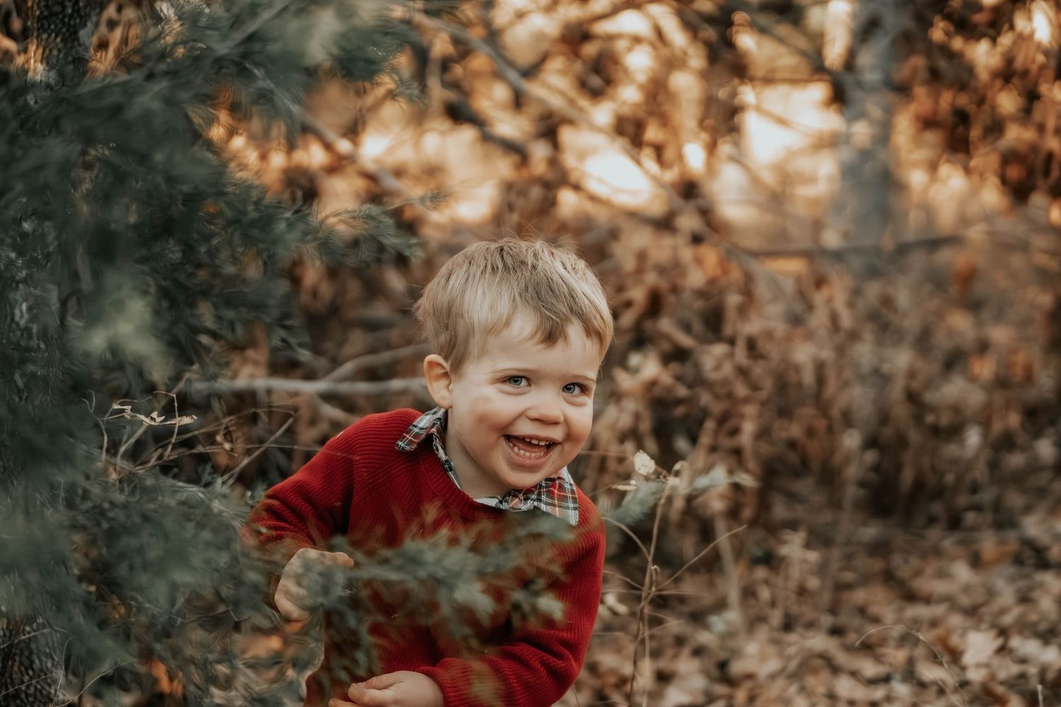 Young child in red sweater smiling and playing in autumn woods.