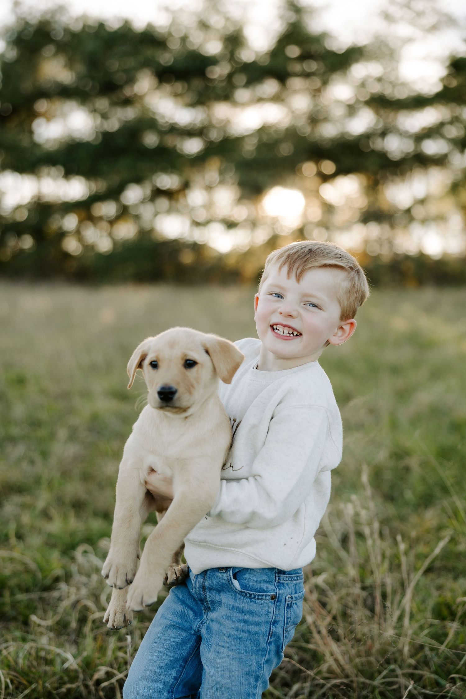 Happy young boy smiling while holding an adorable yellow Labrador puppy in a sunlit field.