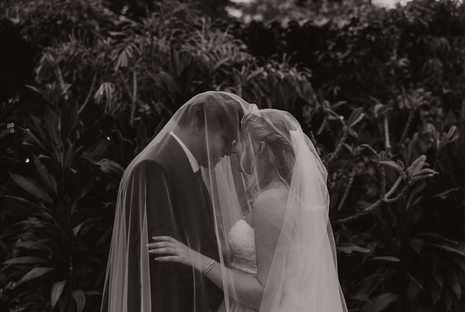 Romantic black and white photo of bride and groom kissing beneath flowing wedding veil.