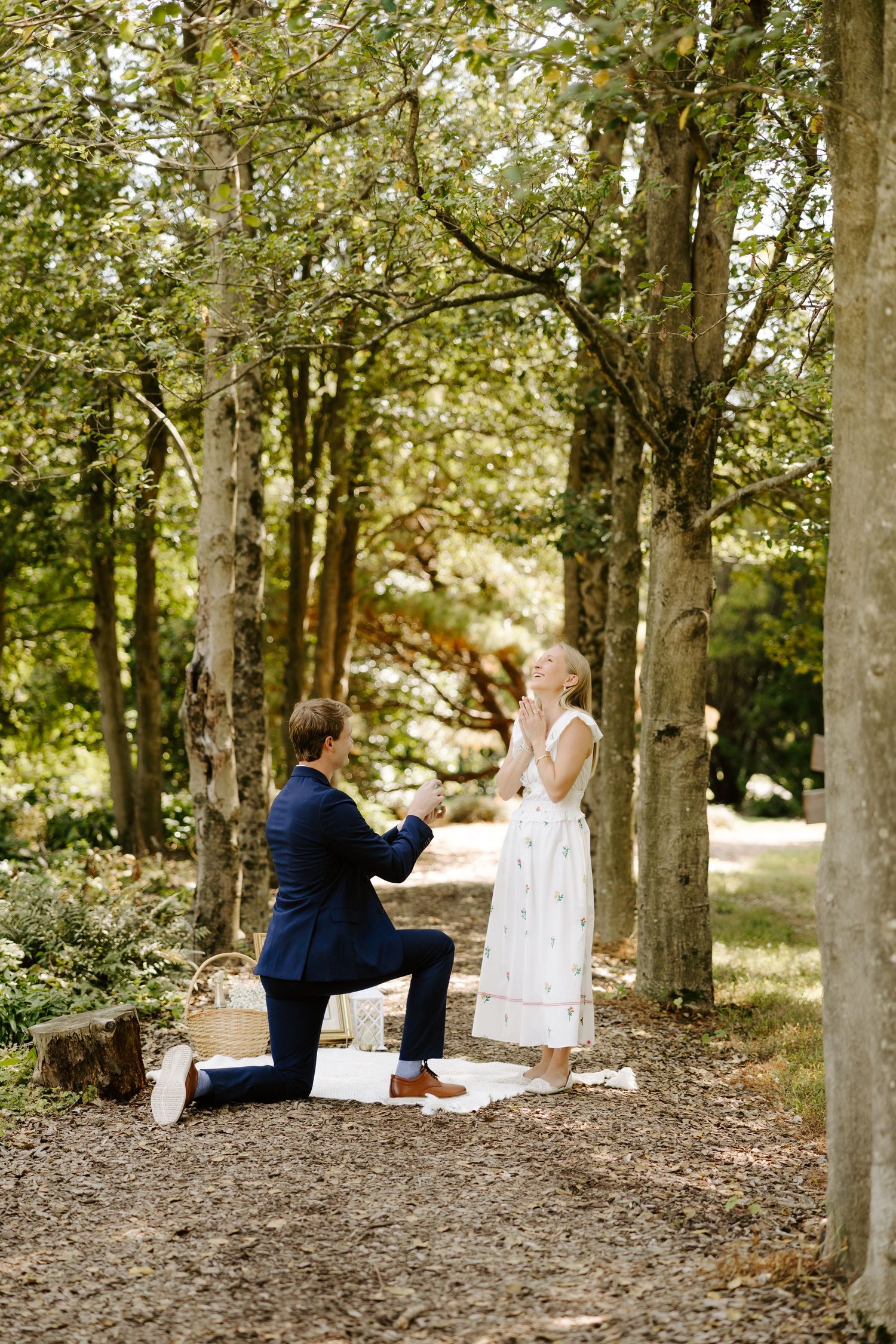 A romantic proposal moment captured on a tree-lined path with a white blanket.