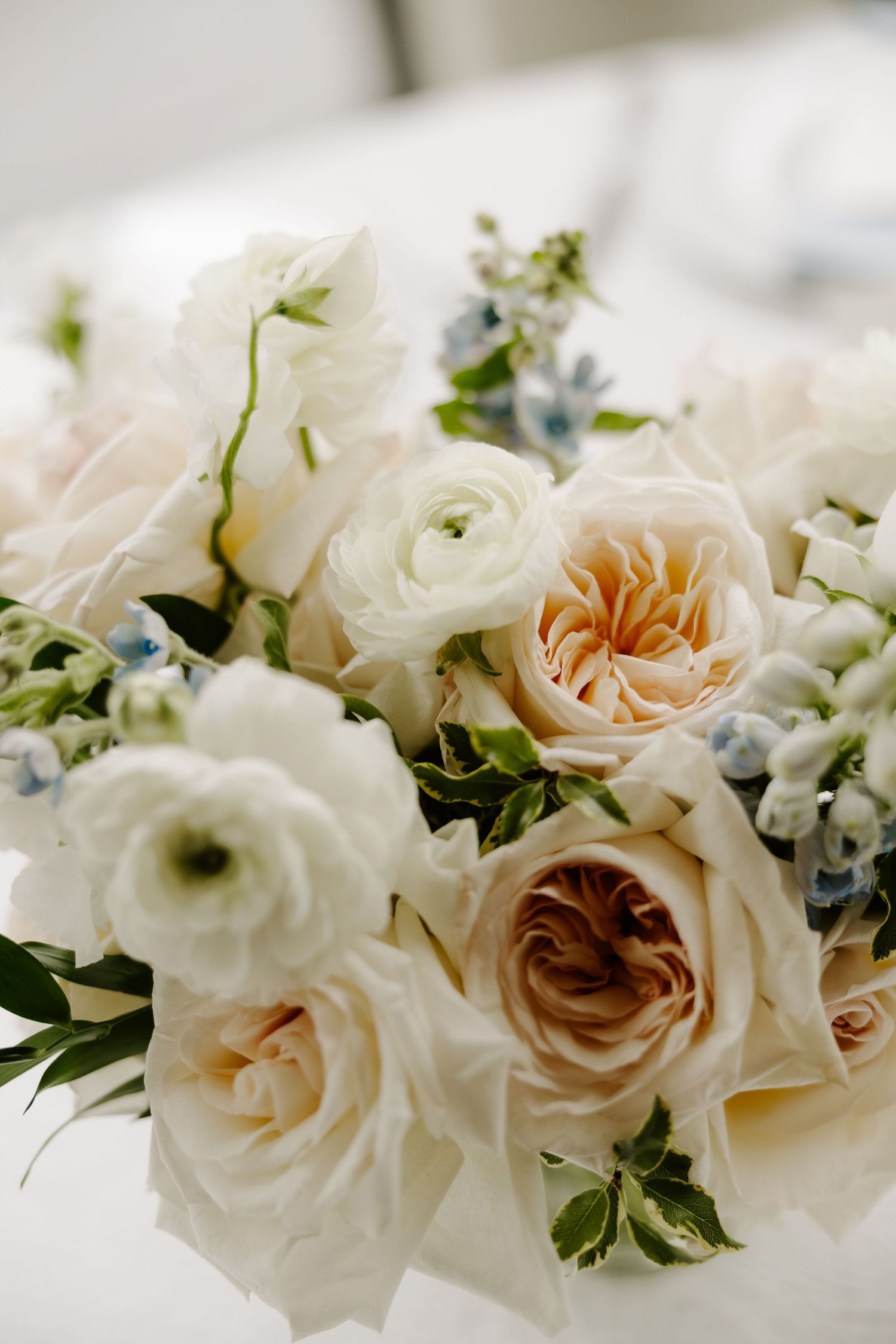 A romantic bridal bouquet of cream garden roses, white ranunculus, and soft blue accent flowers.