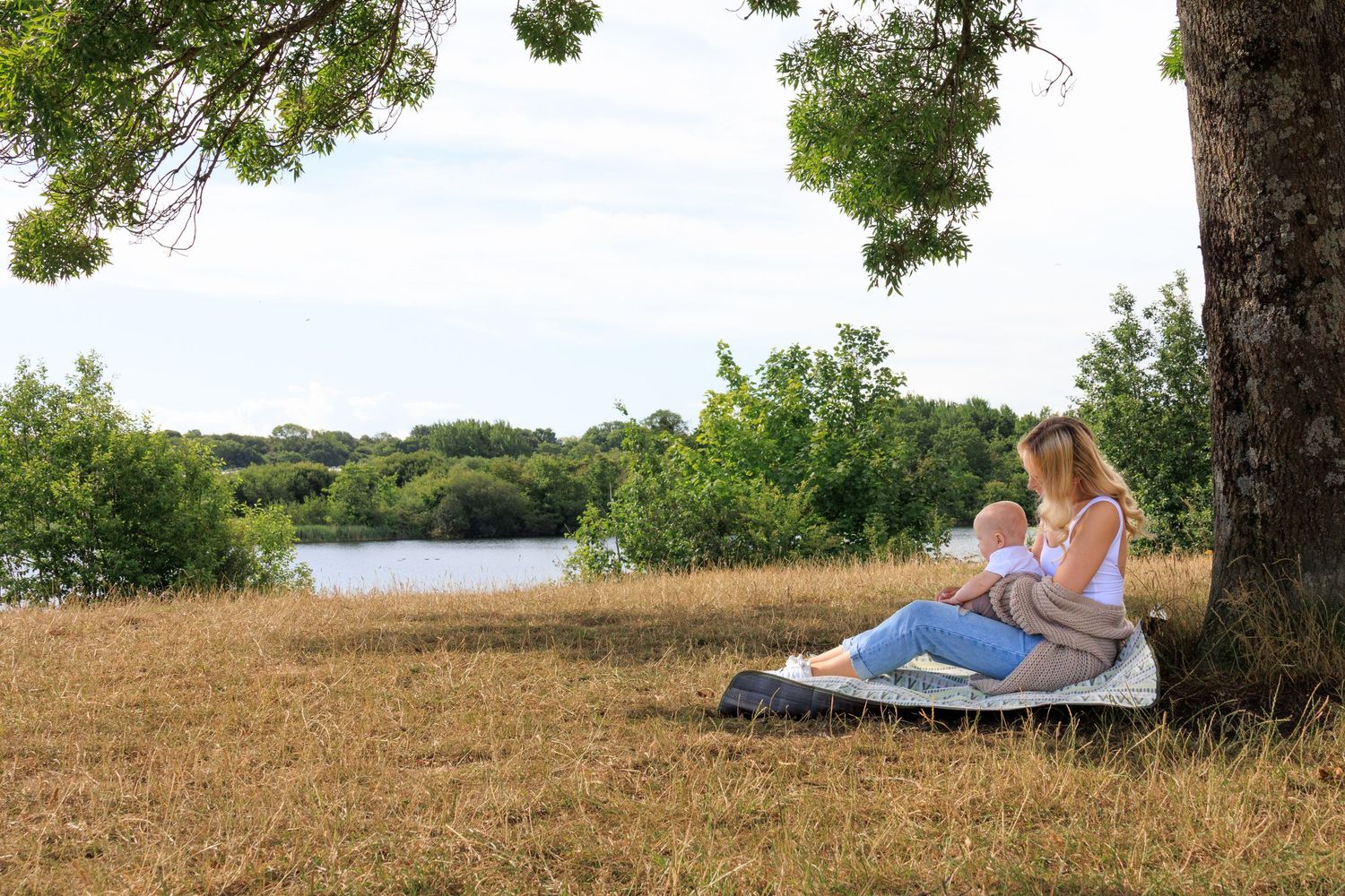 Person relaxes under a tree while reading a book on a grassy hillside overlooking a scenic landscape.