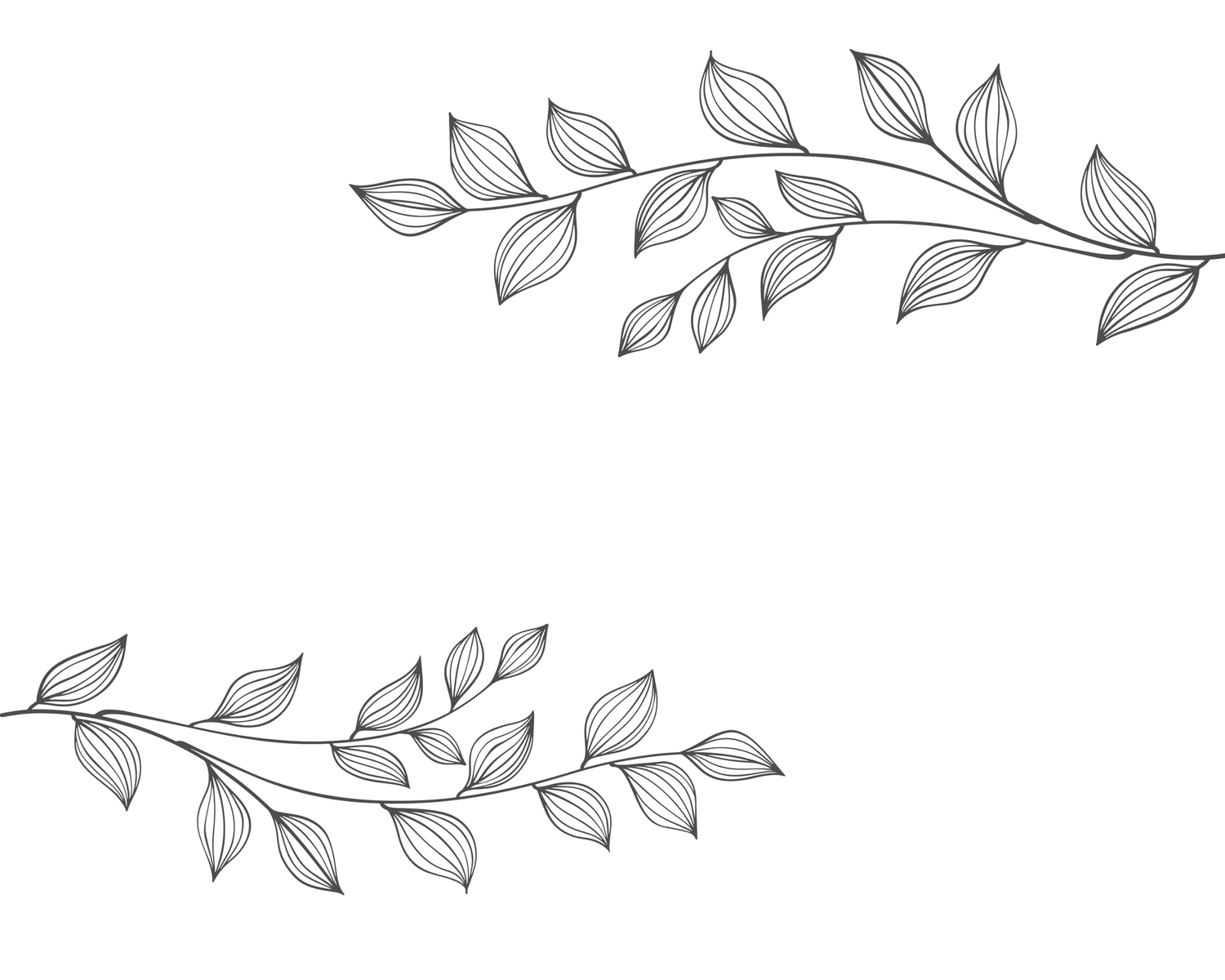 Hand-drawn floral elements and leaves in black and white design create an elegant botanical border pattern.