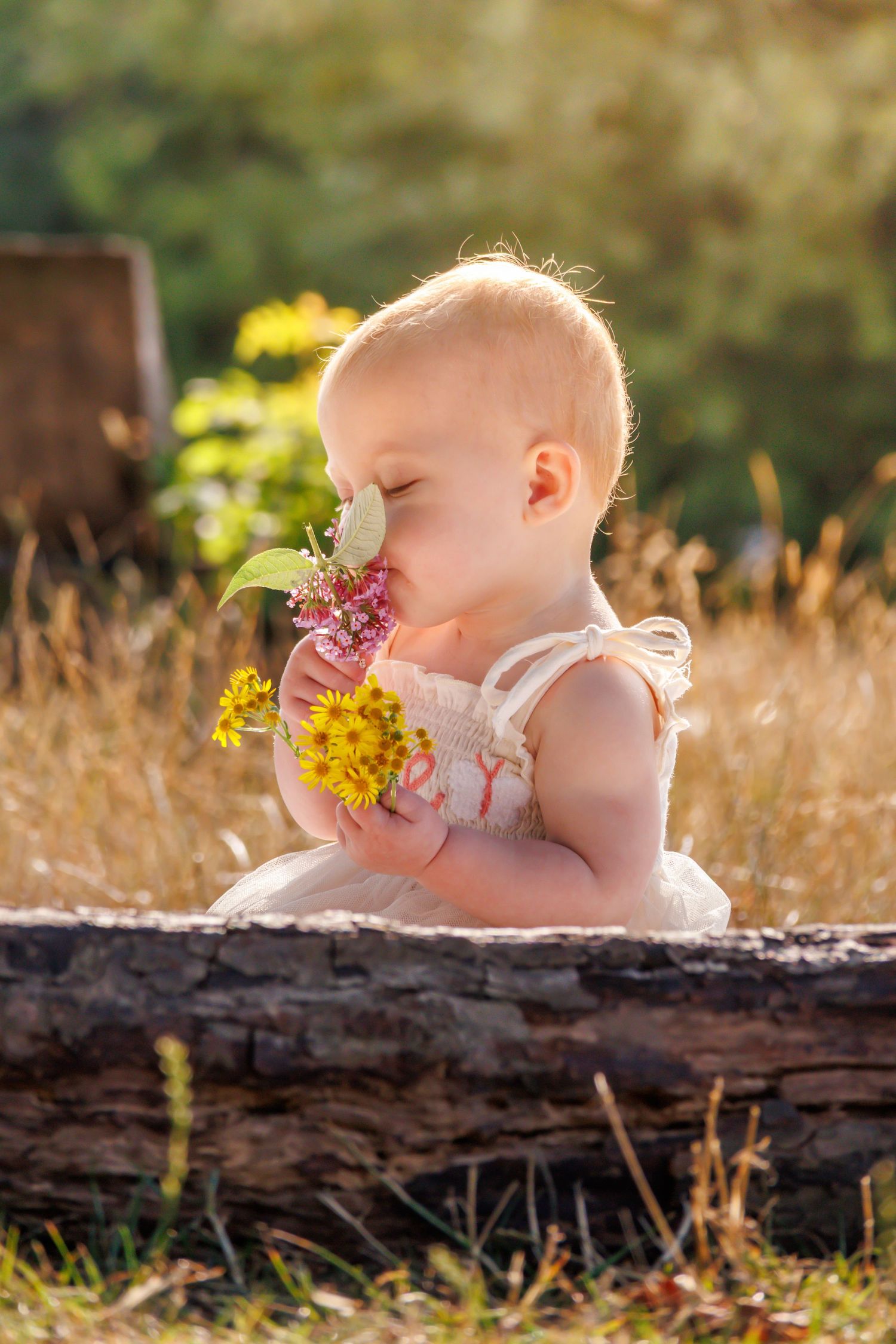 A small child in white smells wildflowers while sitting on a rustic wooden log in golden sunlit field.