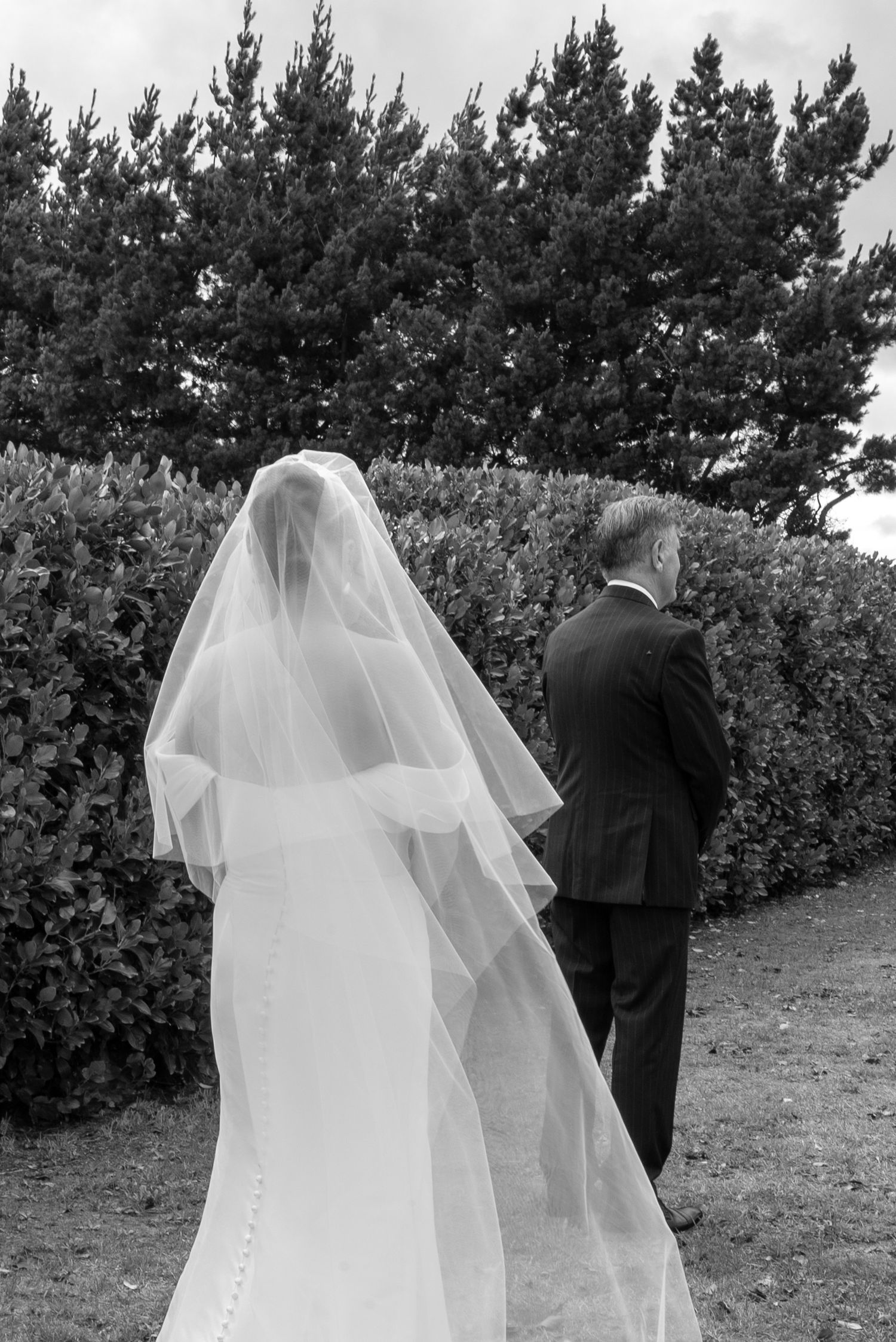 Black and white photo of a bride in a flowing veil walking with a suited man through a garden hedge pathway.