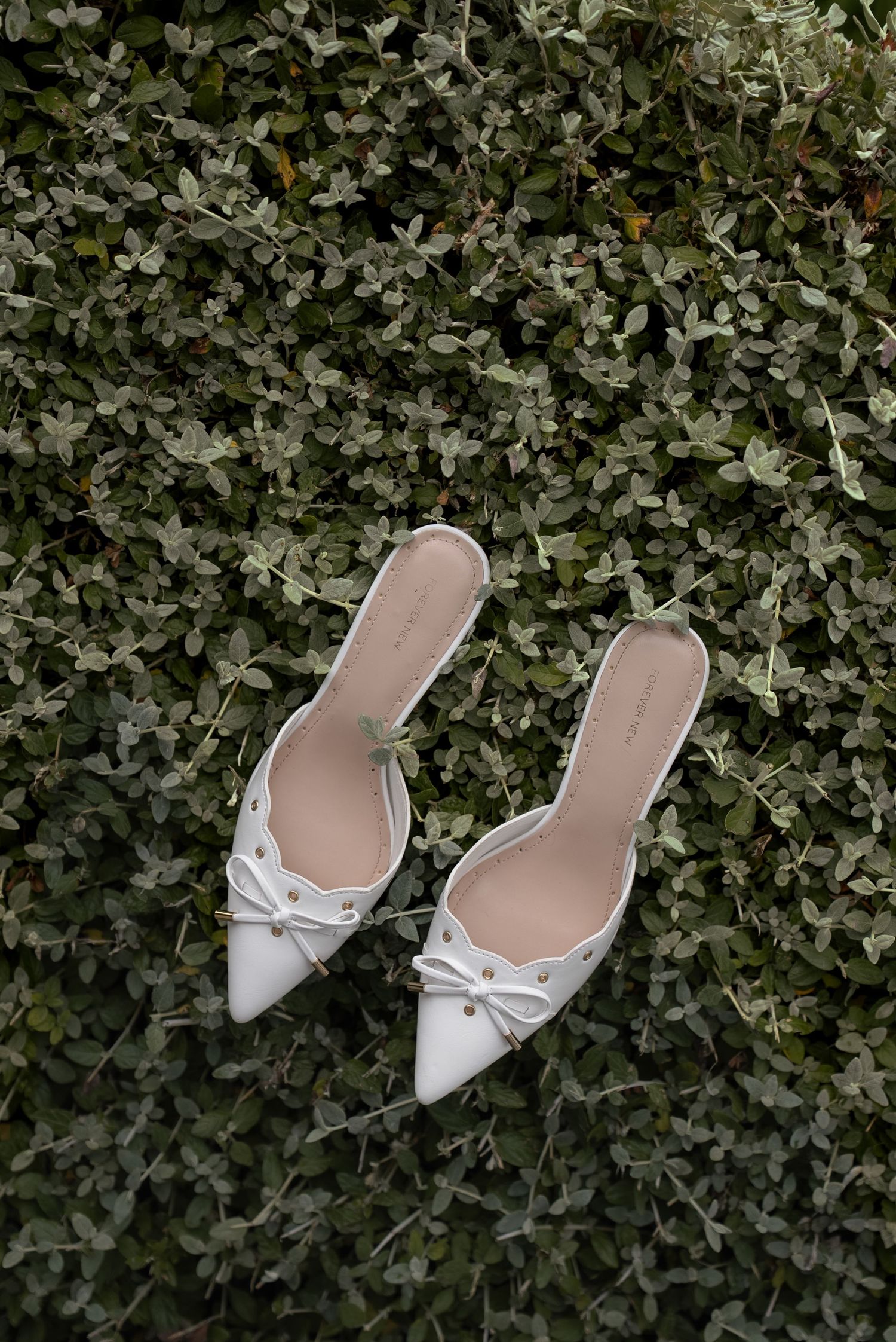 White pointed-toe kitten heel mules with bow and pearl details, displayed on lush green ivy leaves.