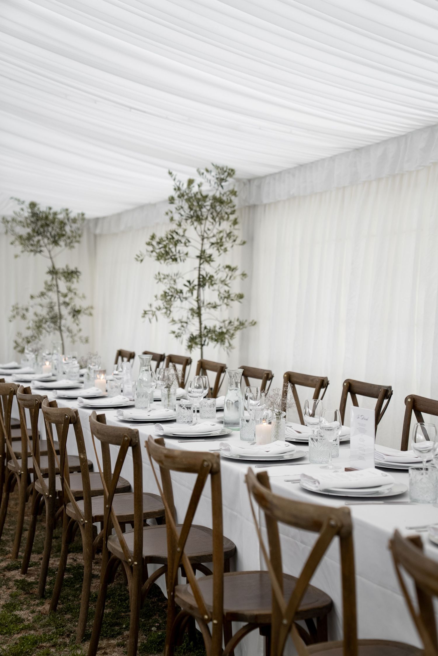 Elegant marquee wedding reception with long white-draped tables, brown cross-back chairs, and tall greenery centerpieces.